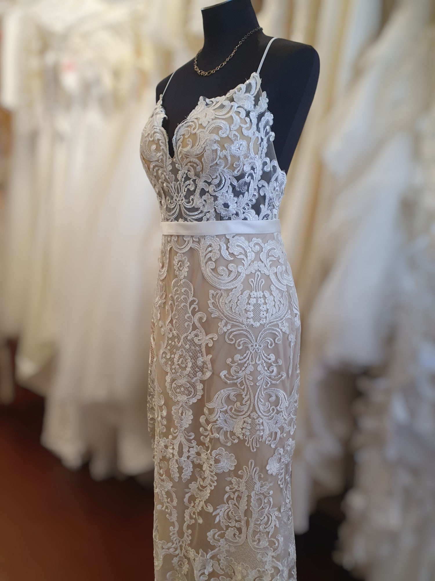 Aimee Lace Gown