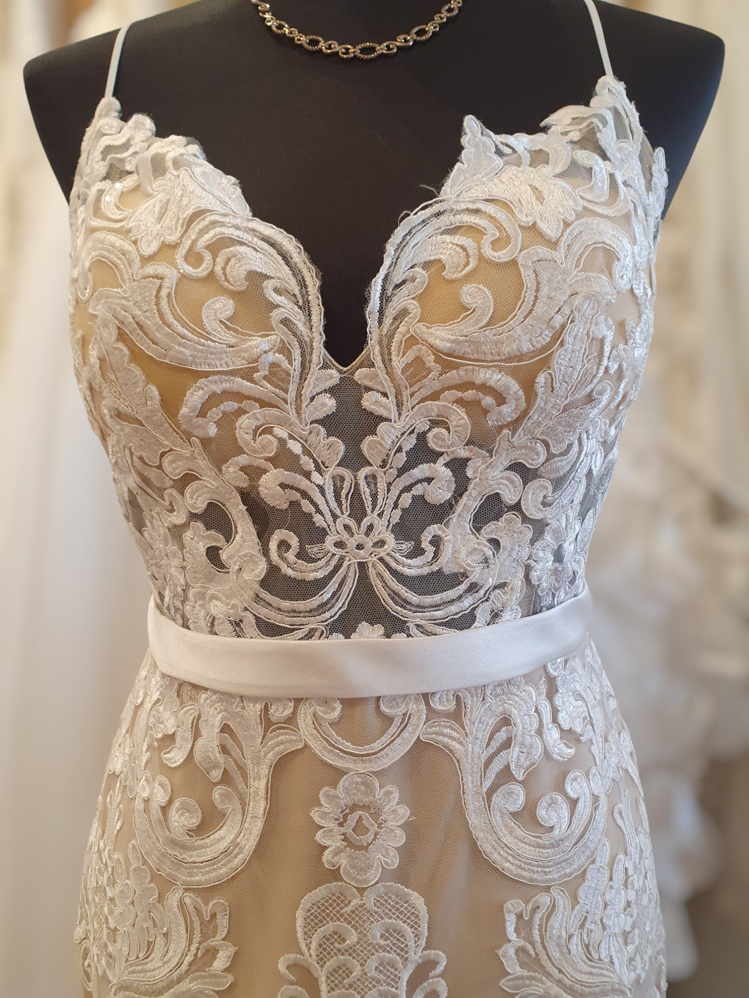 Aimee Lace Gown