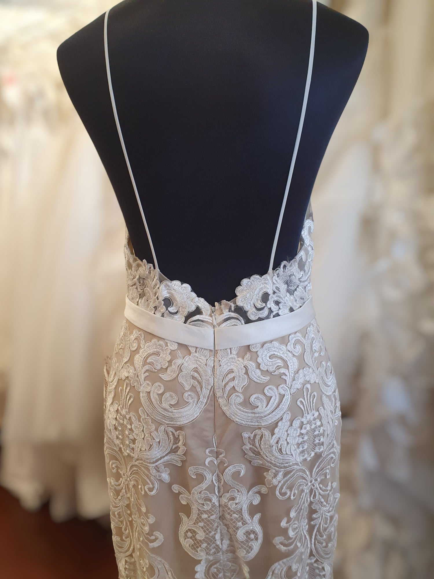 Aimee Lace Gown