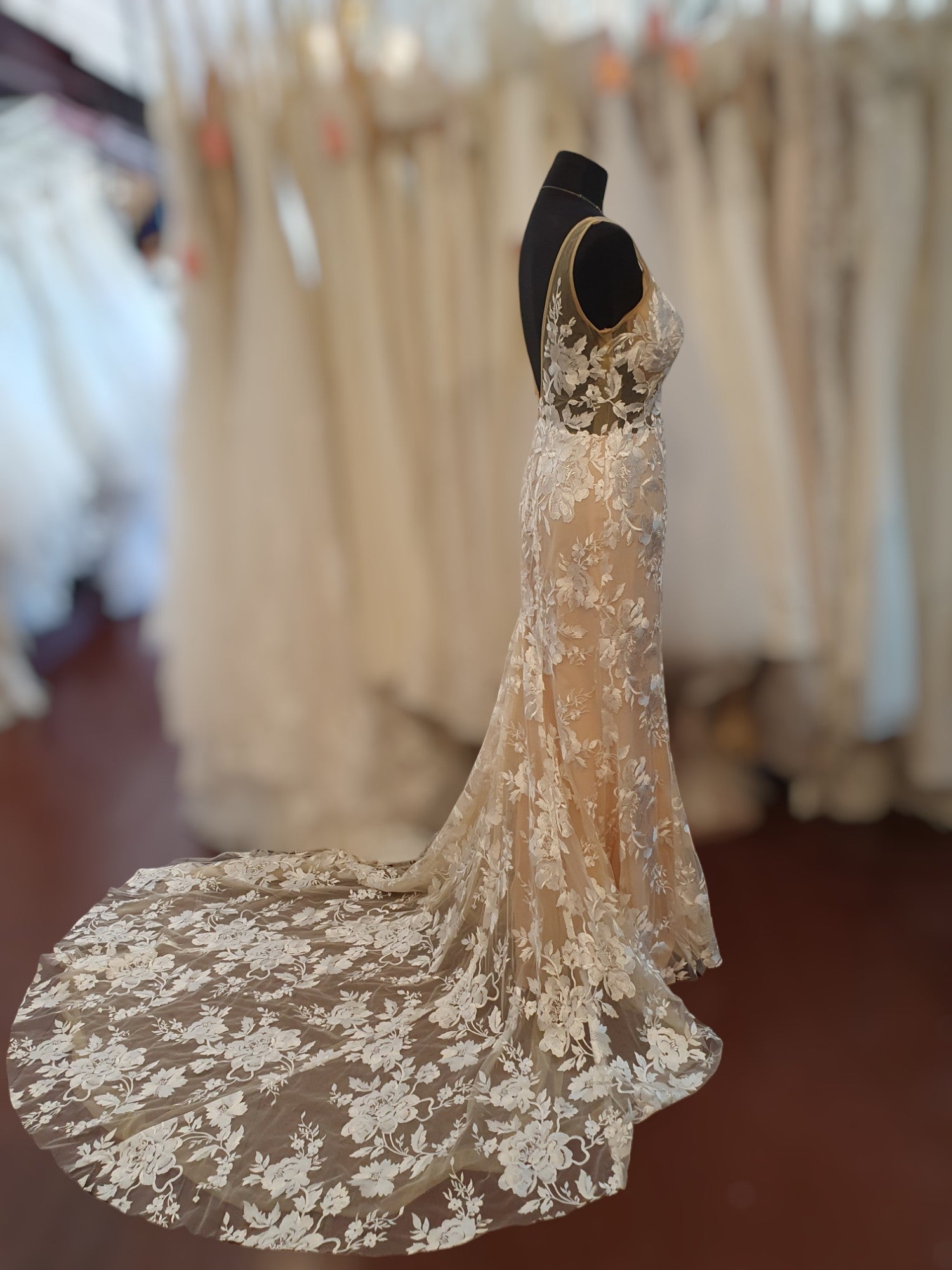 Made With Love Champagne & Lace Gown