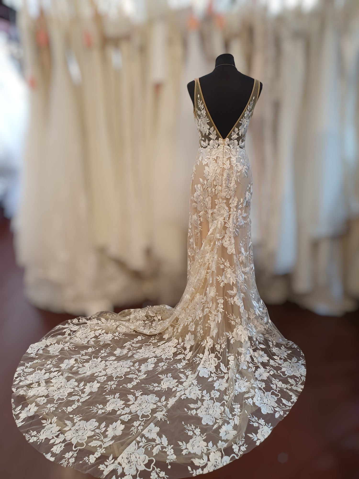 Made With Love Champagne & Lace Gown