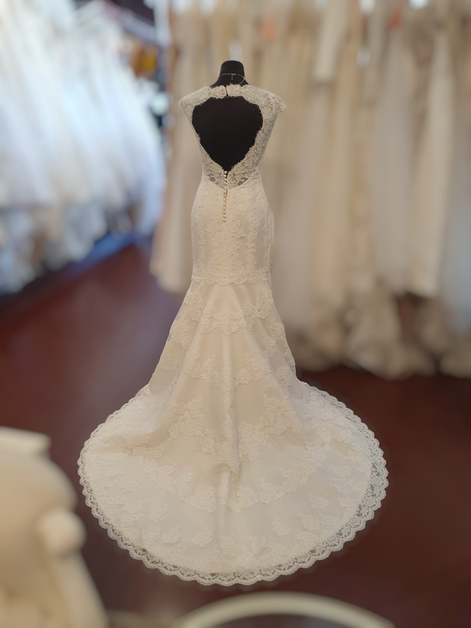 Pronovias Beading & Bow Cap Sleeve Gown