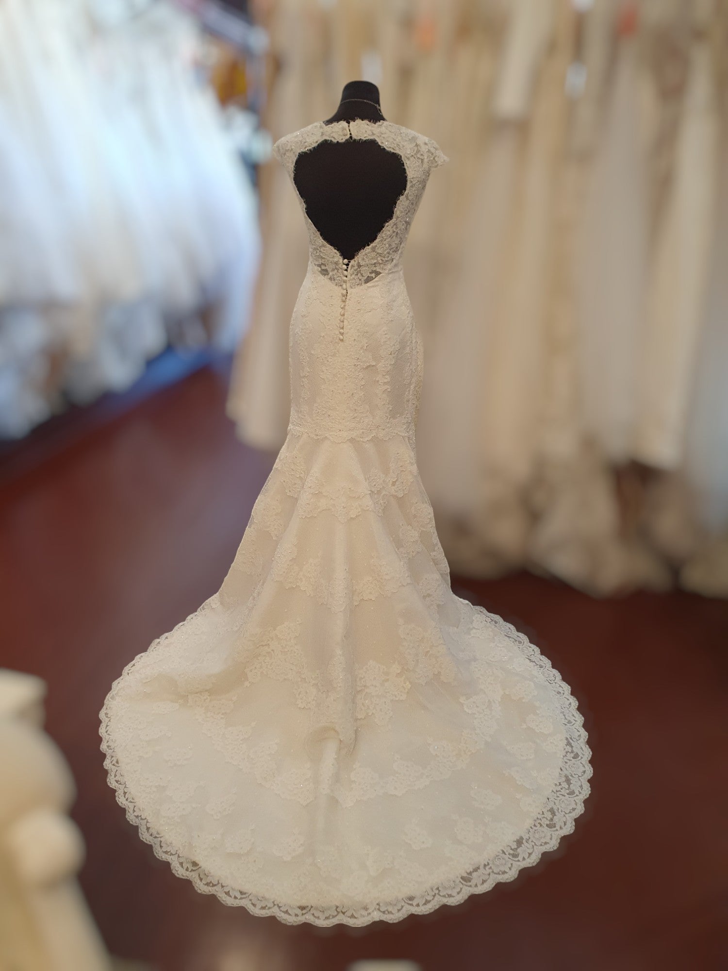 Pronovias Beading & Bow Cap Sleeve Gown