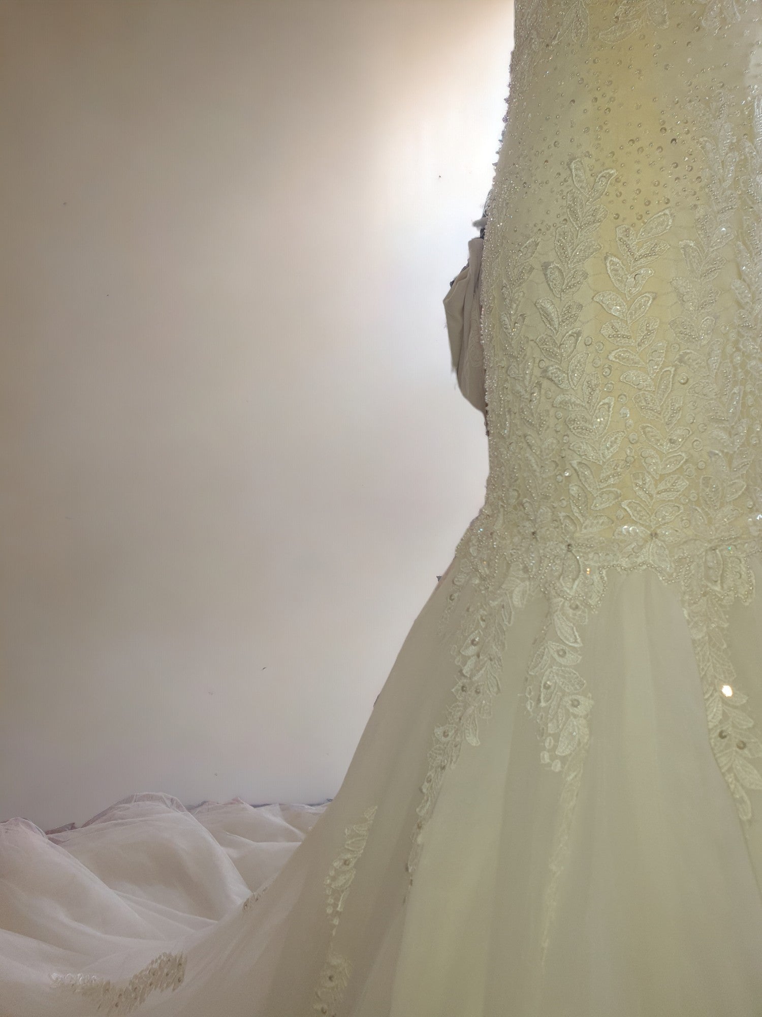 Tiamo Bella Mermaid Gown