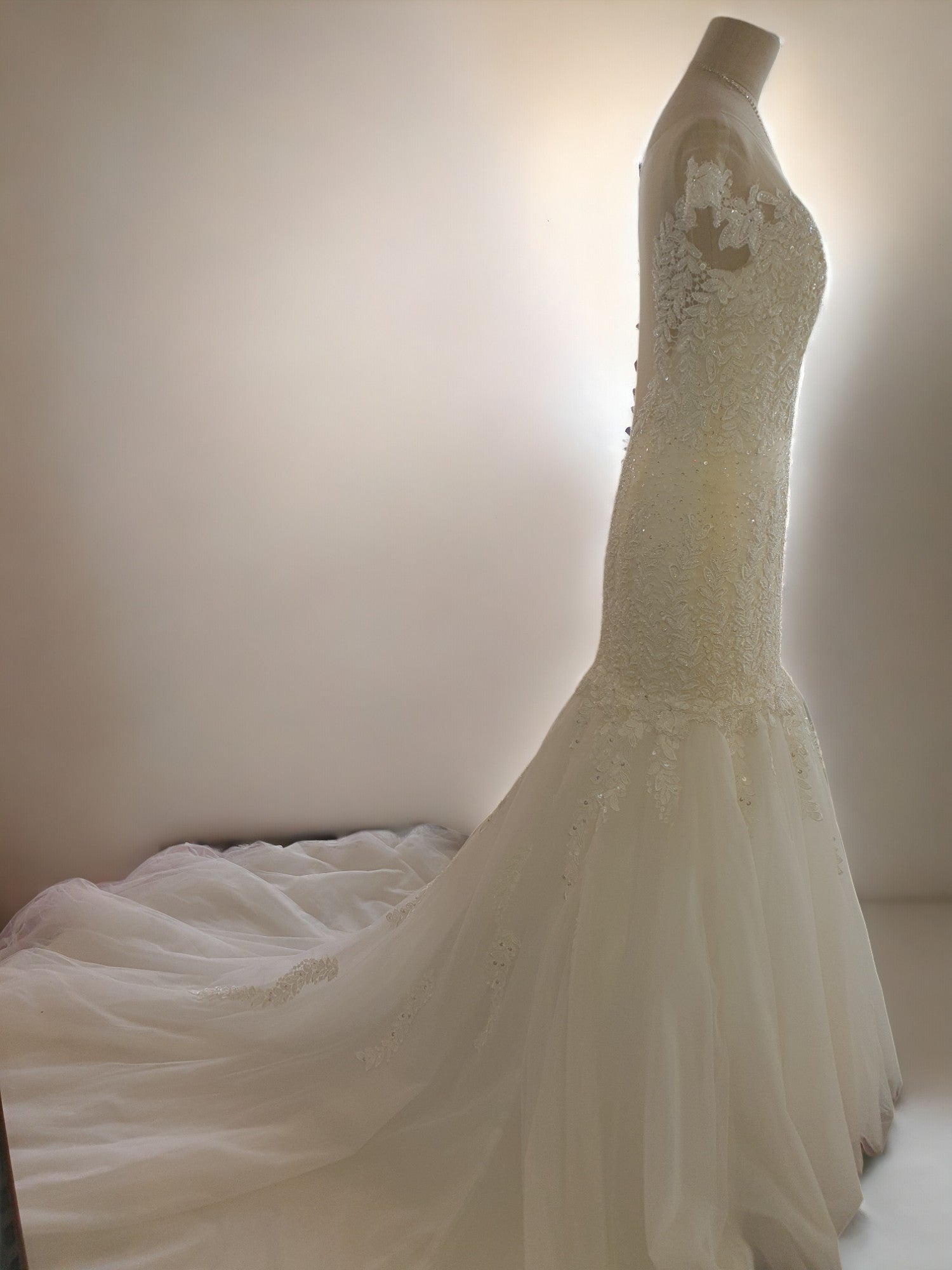 Tiamo Bella Mermaid Gown
