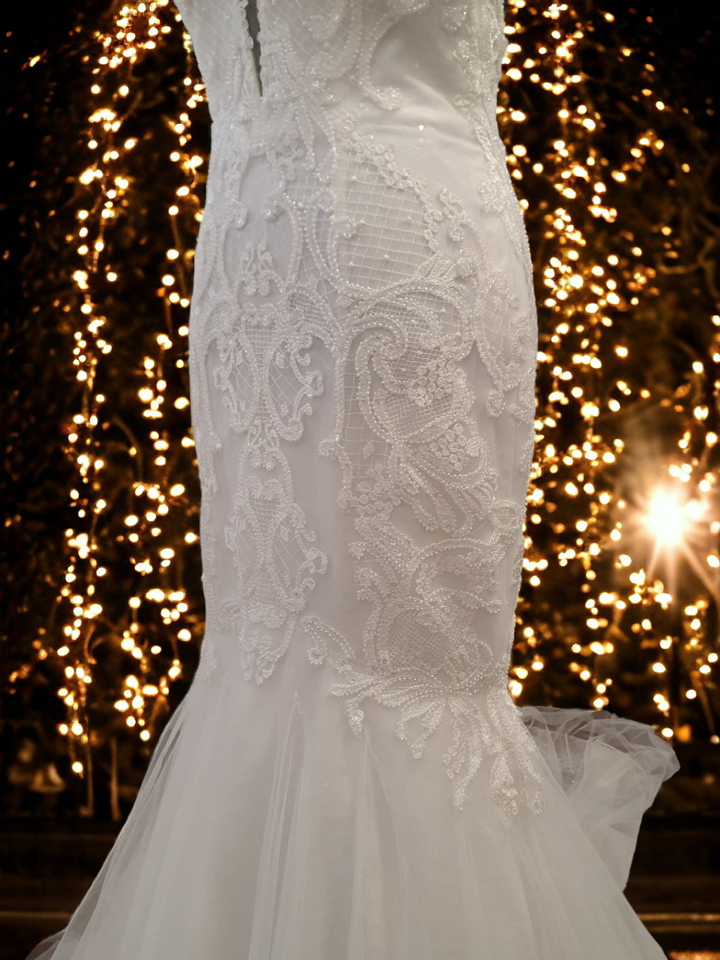 Lace Mermaid Gown