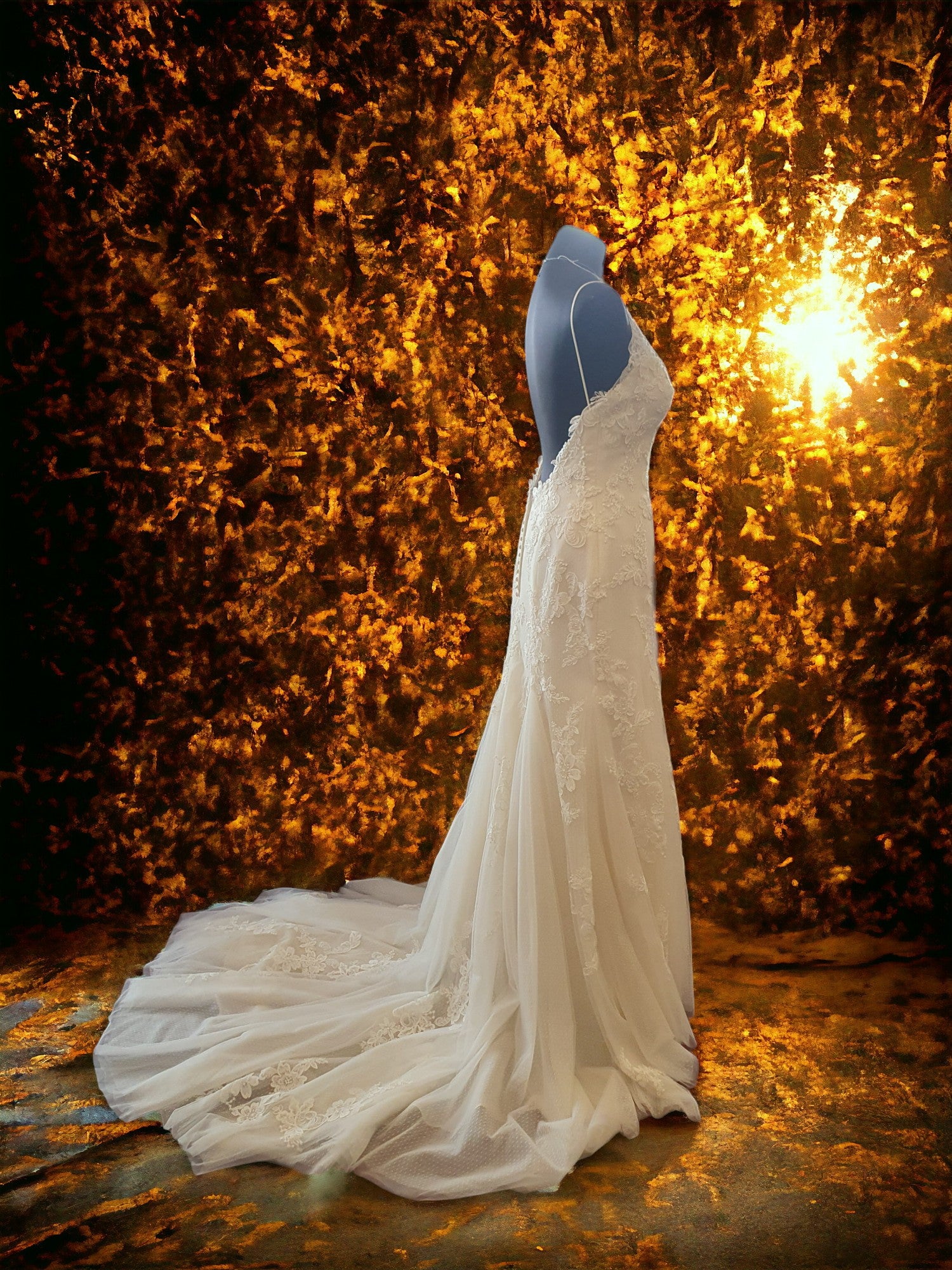 Sottero & Midgley Gown
