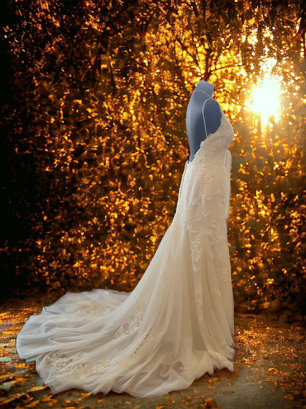 Sottero & Midgley Gown
