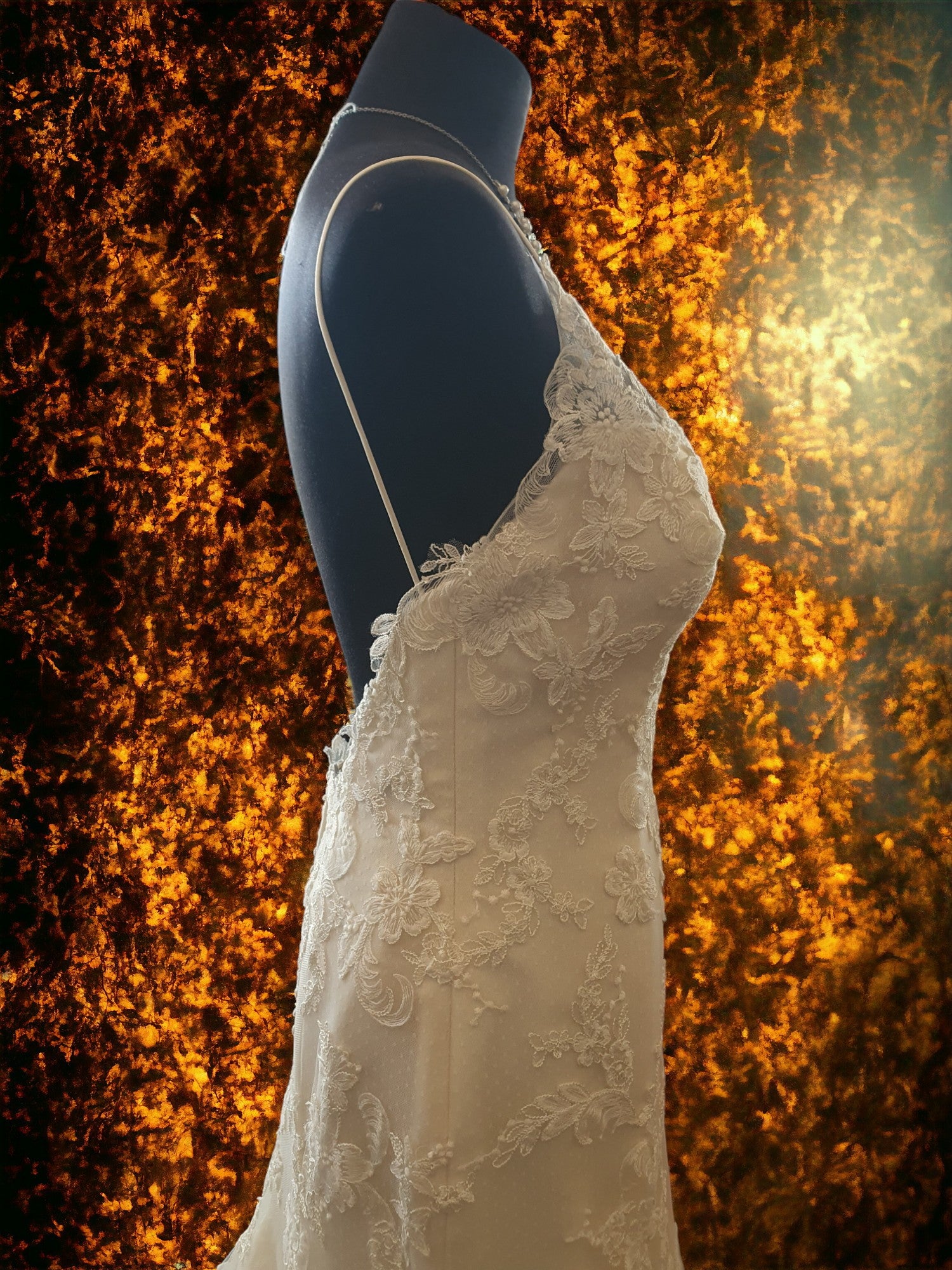 Sottero & Midgley Gown