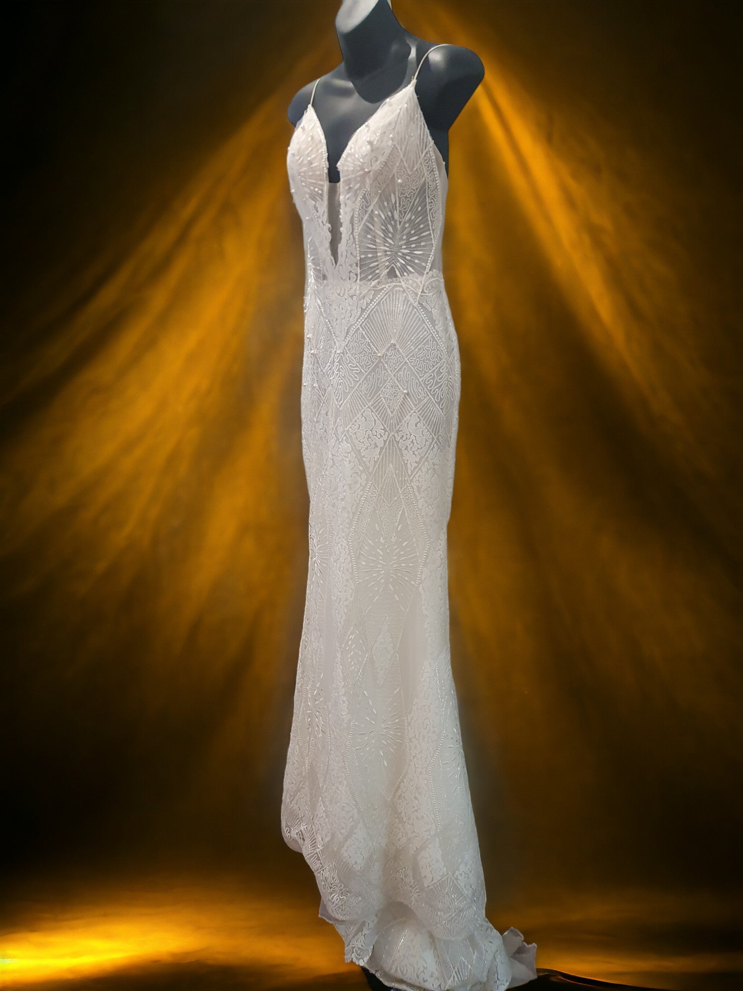 One of a Kind Gown, Size 6