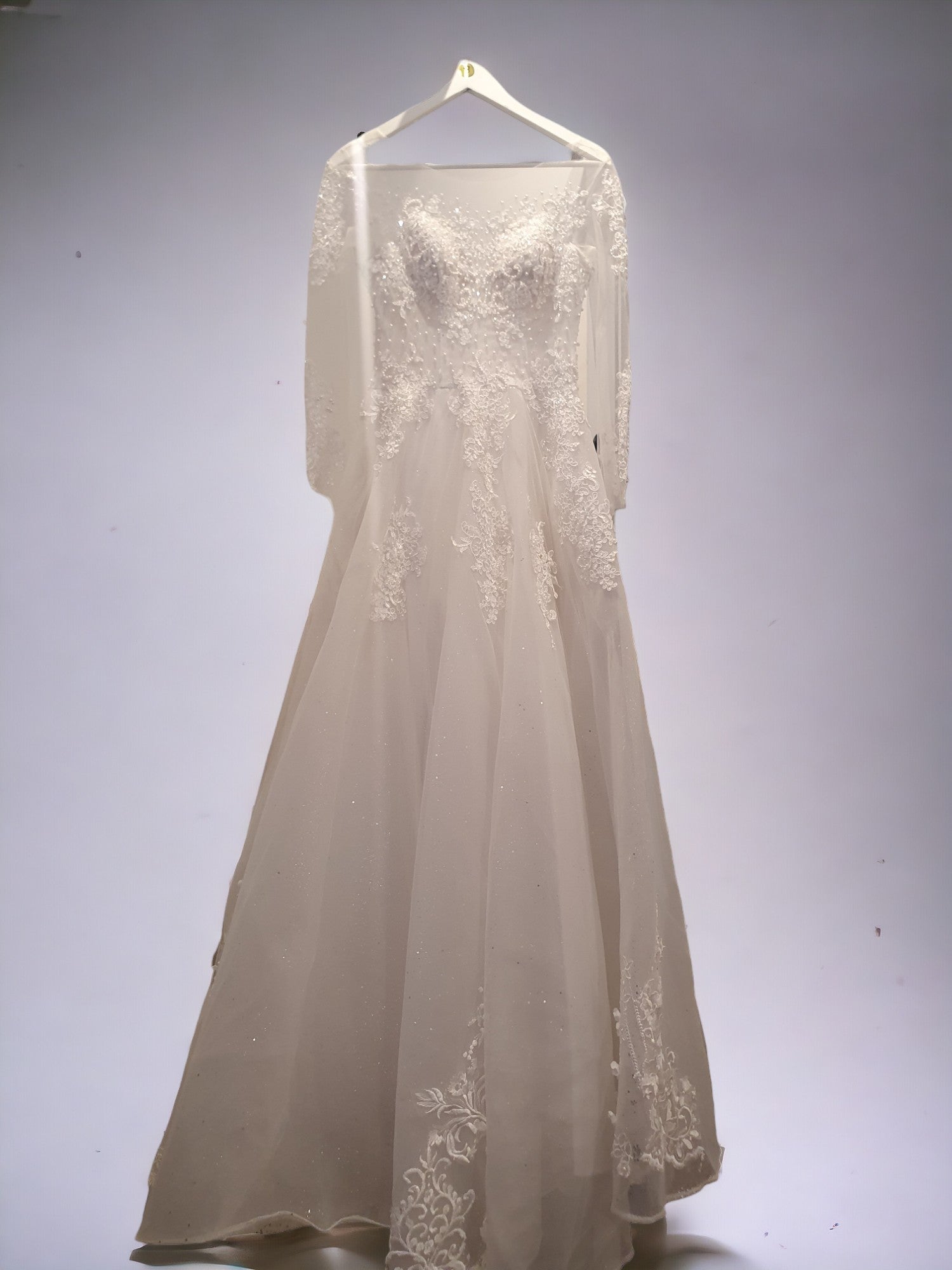 Sparkling Long Sleeve Princess Gown