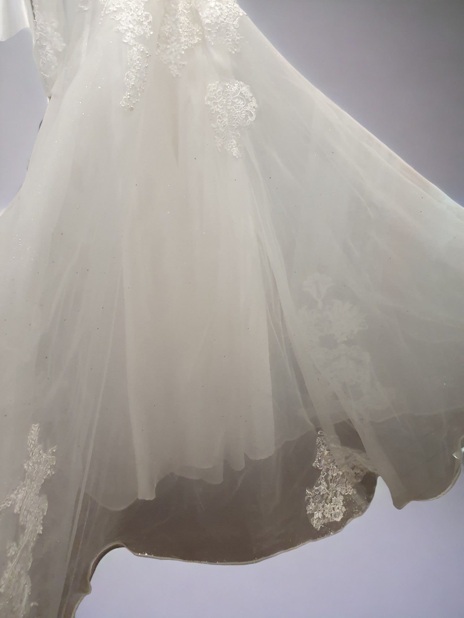Sparkling Long Sleeve Princess Gown