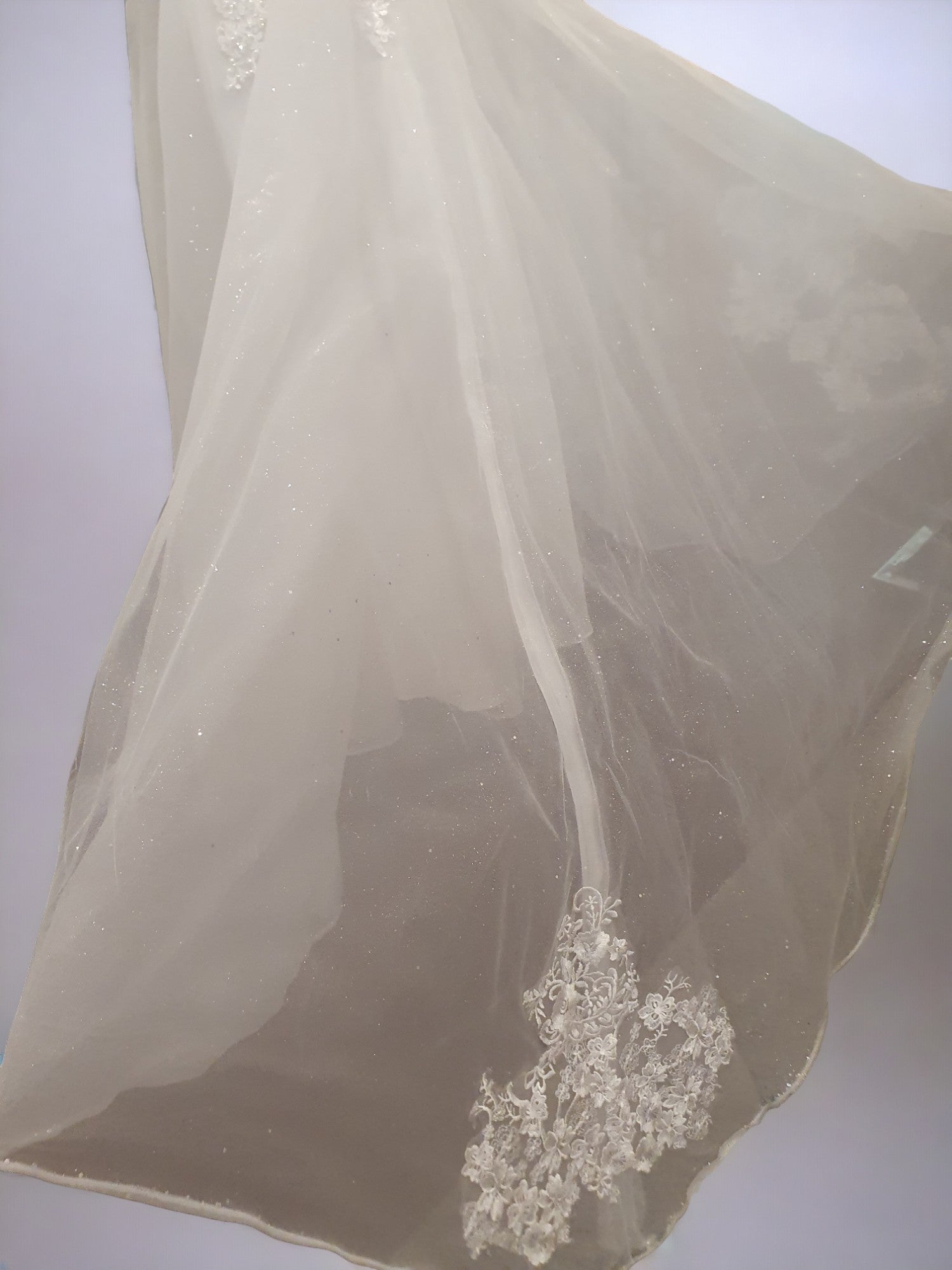 Sparkling Long Sleeve Princess Gown