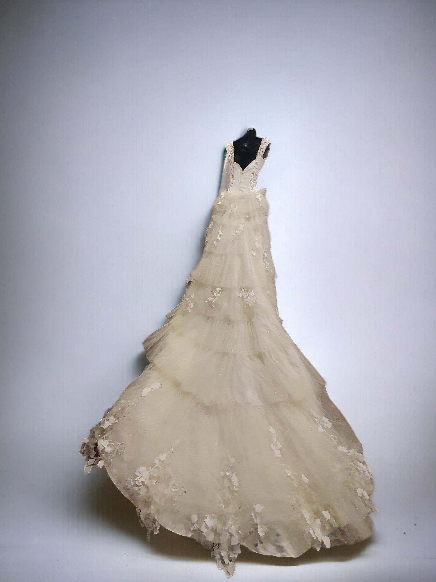 Embellished Wedding Dress