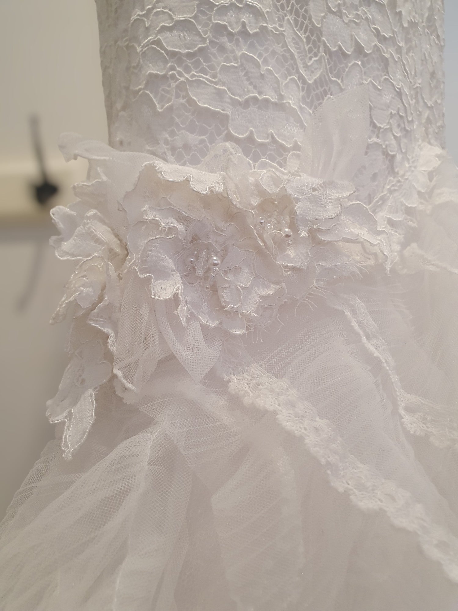 Pronovias Strapless Gown
