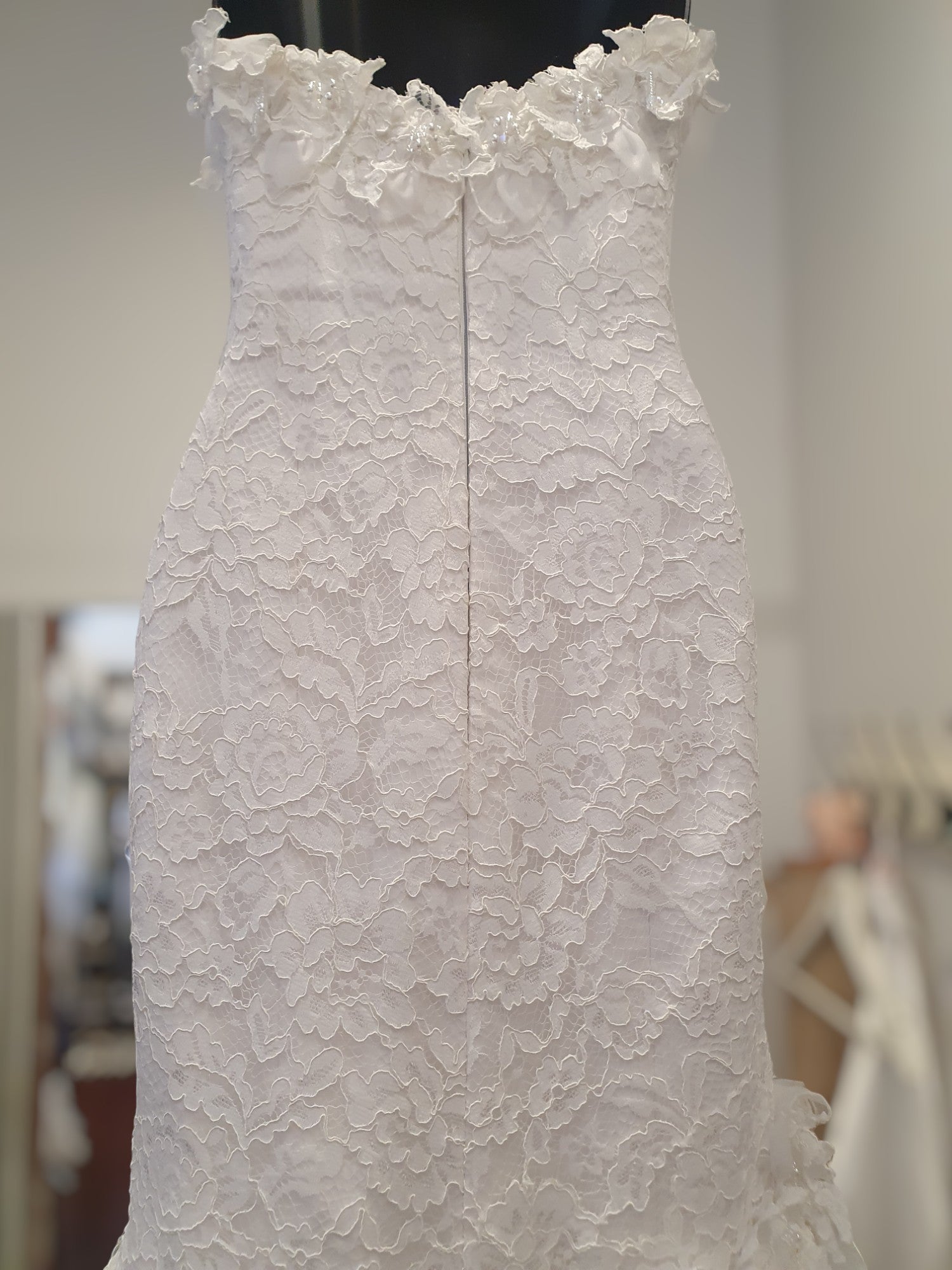 Pronovias Strapless Gown