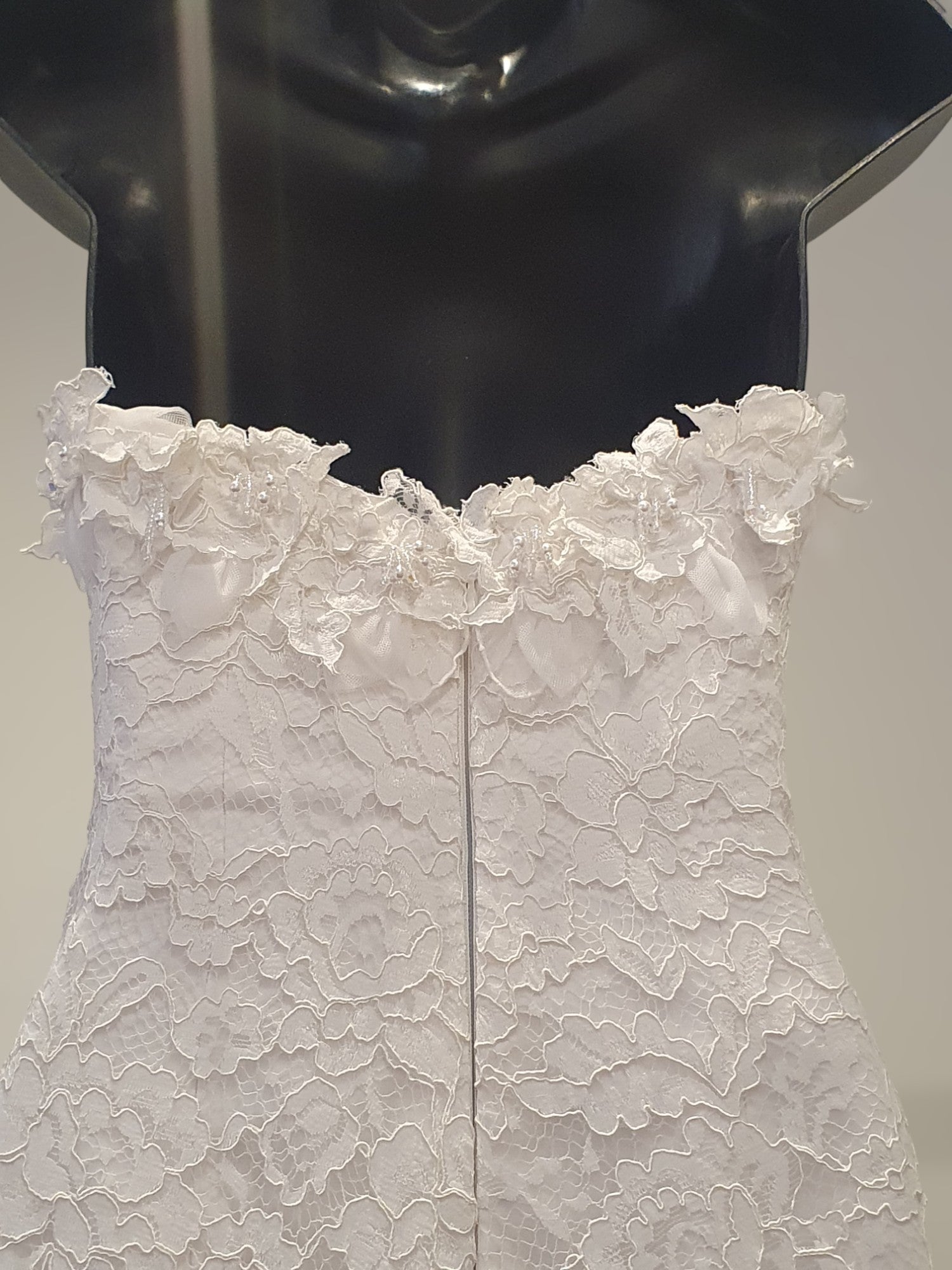 Pronovias Strapless Gown