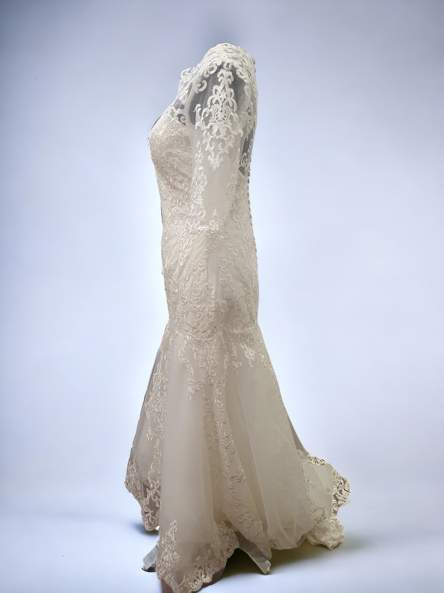 Mingda's Dress Long Sleeve Lace Fit & Flare Gown