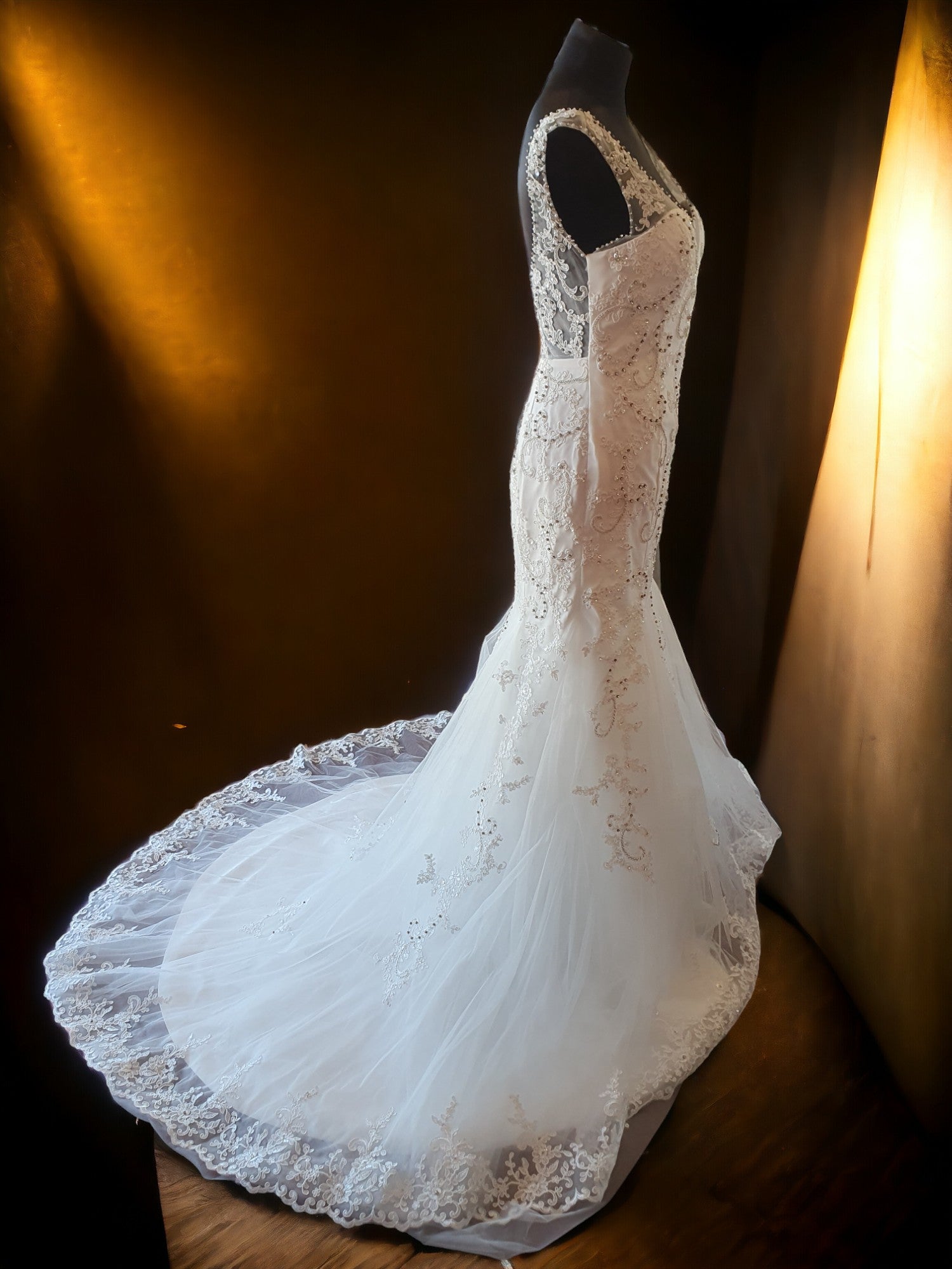 Brand New Sleeveless Fit & Flare Beaded Gown