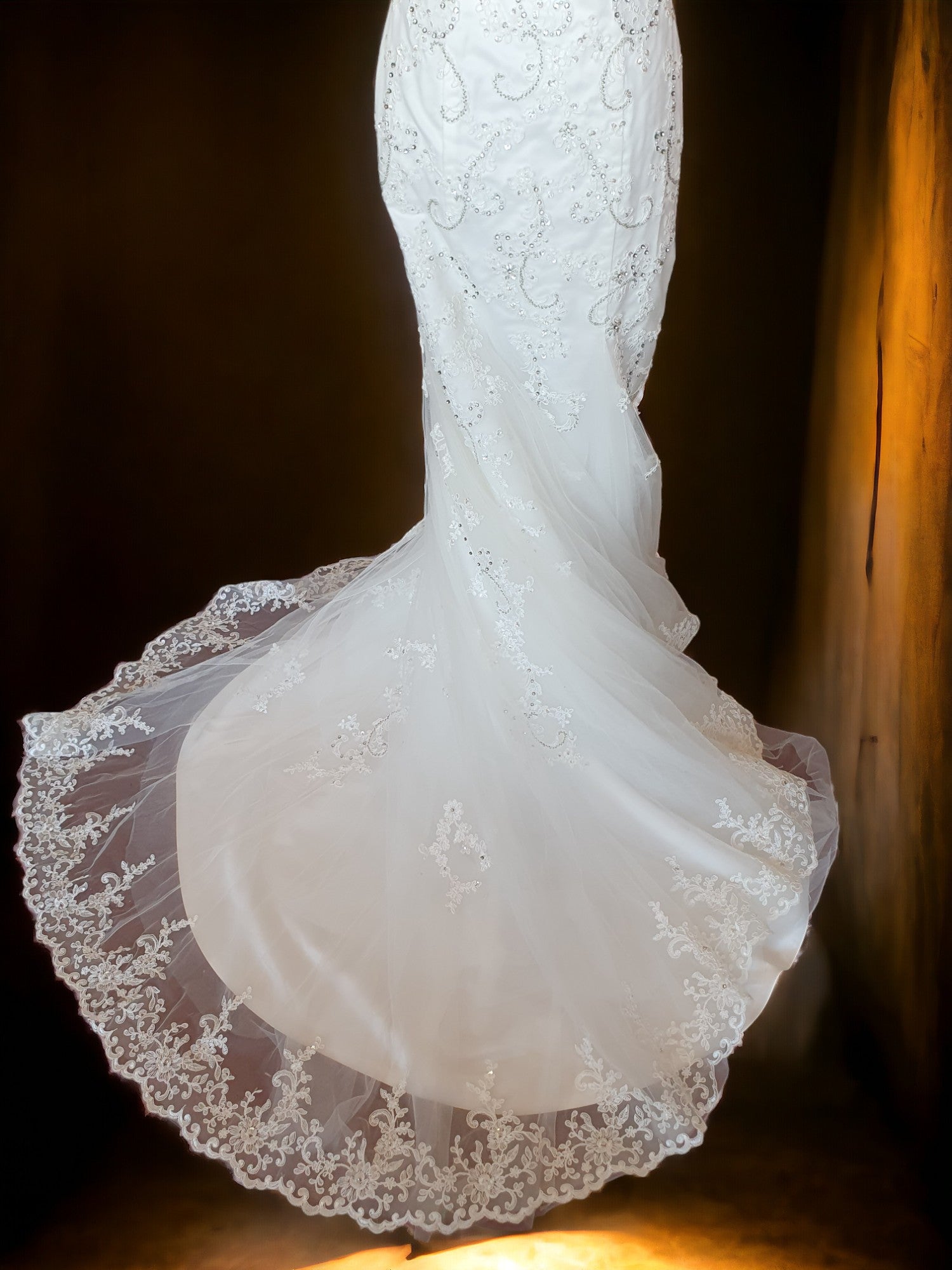 Brand New Sleeveless Fit & Flare Beaded Gown