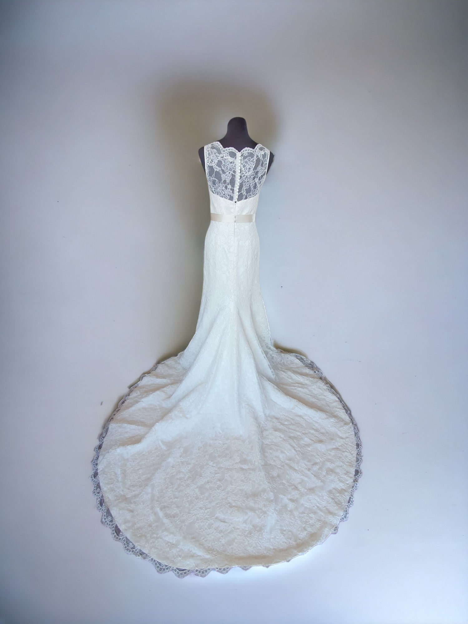 Augusta Jones Lace Fit & Flare Gown with Optional Belt