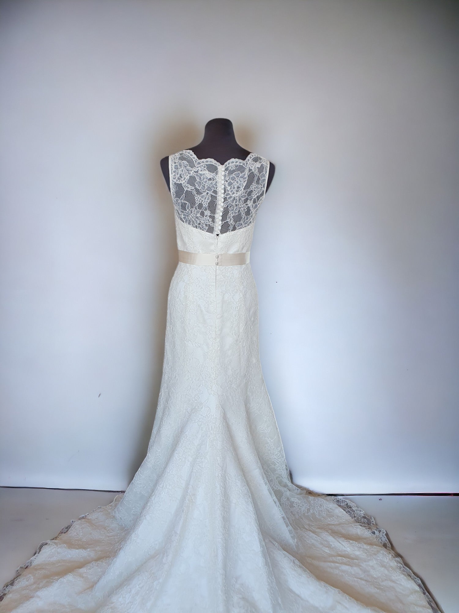 Augusta Jones Lace Fit & Flare Gown with Optional Belt