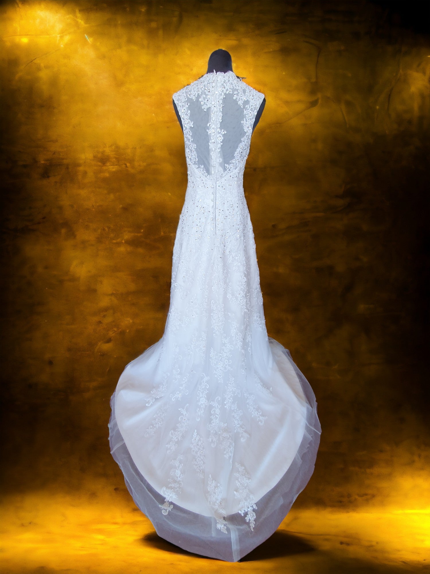 Elegant Fit & Flare Gown