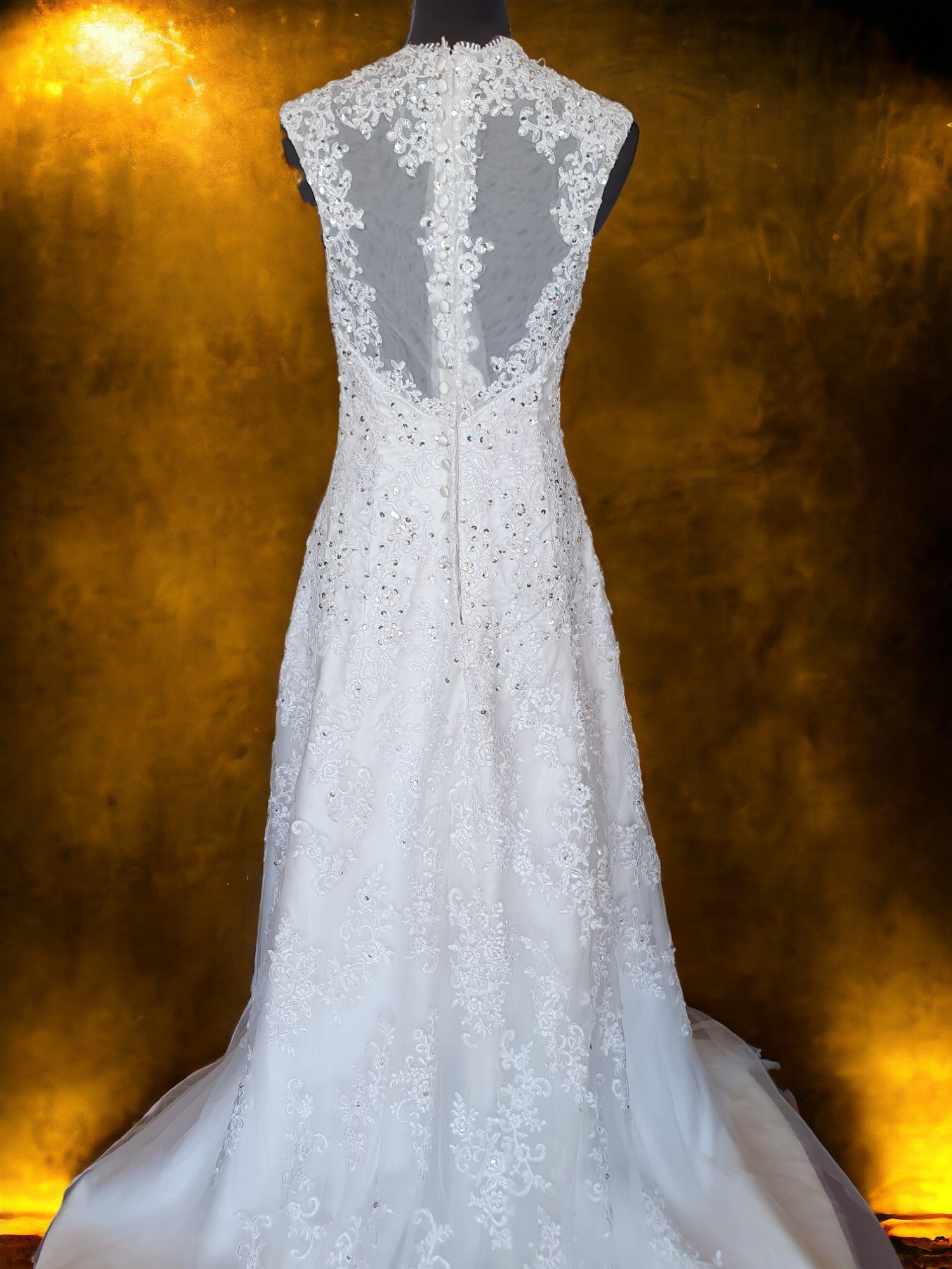 Elegant Fit & Flare Gown