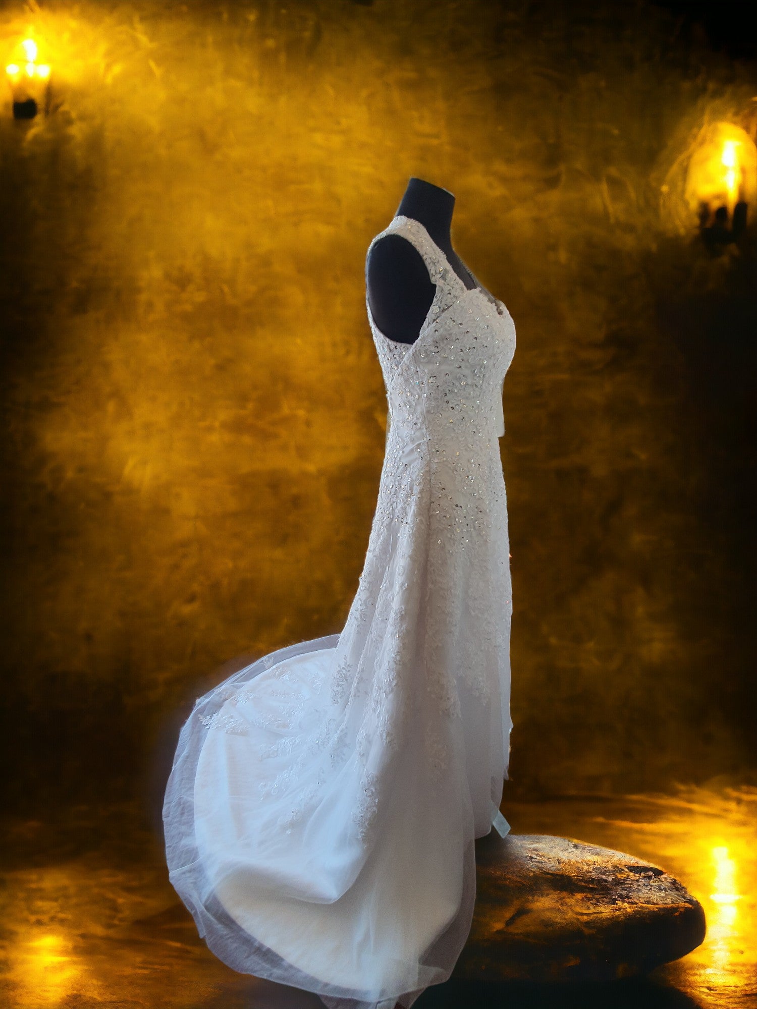 Elegant Fit & Flare Gown