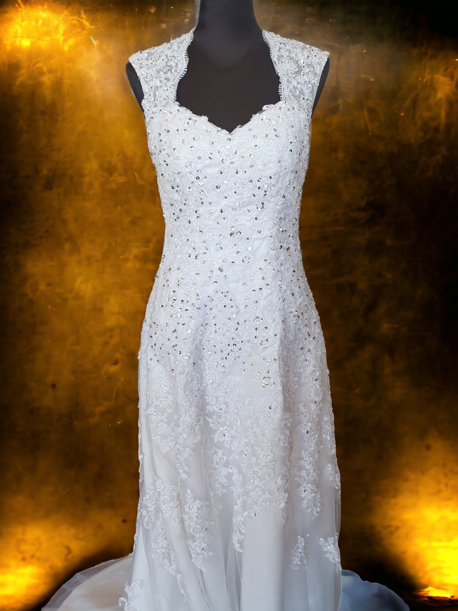 Elegant Fit & Flare Gown