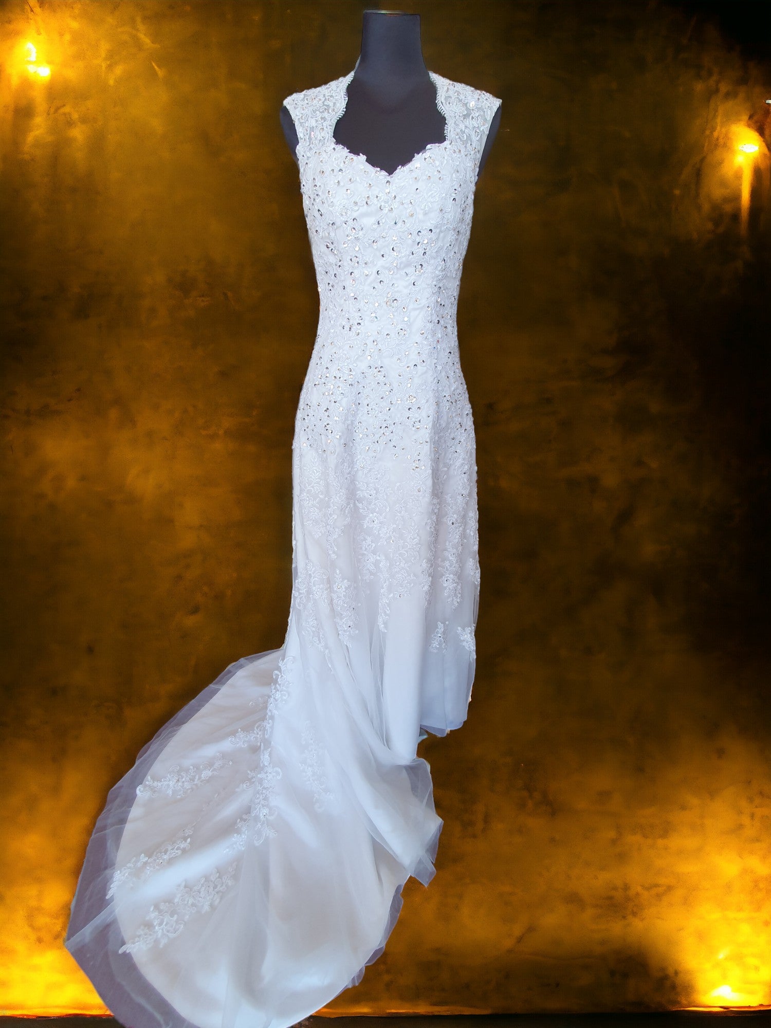 Elegant Fit & Flare Gown