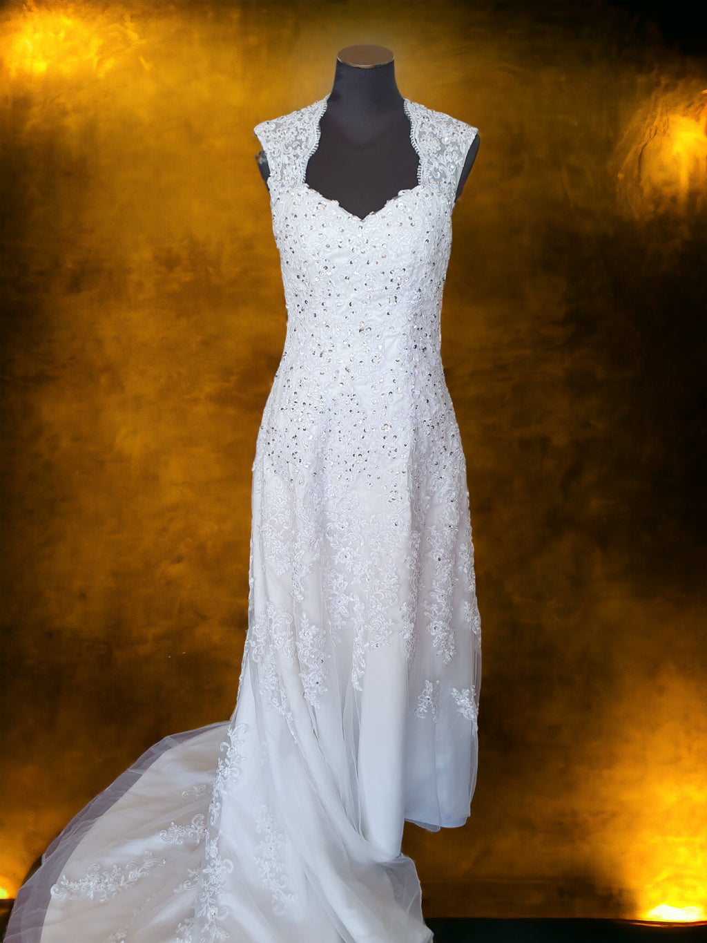 Elegant Fit & Flare Gown