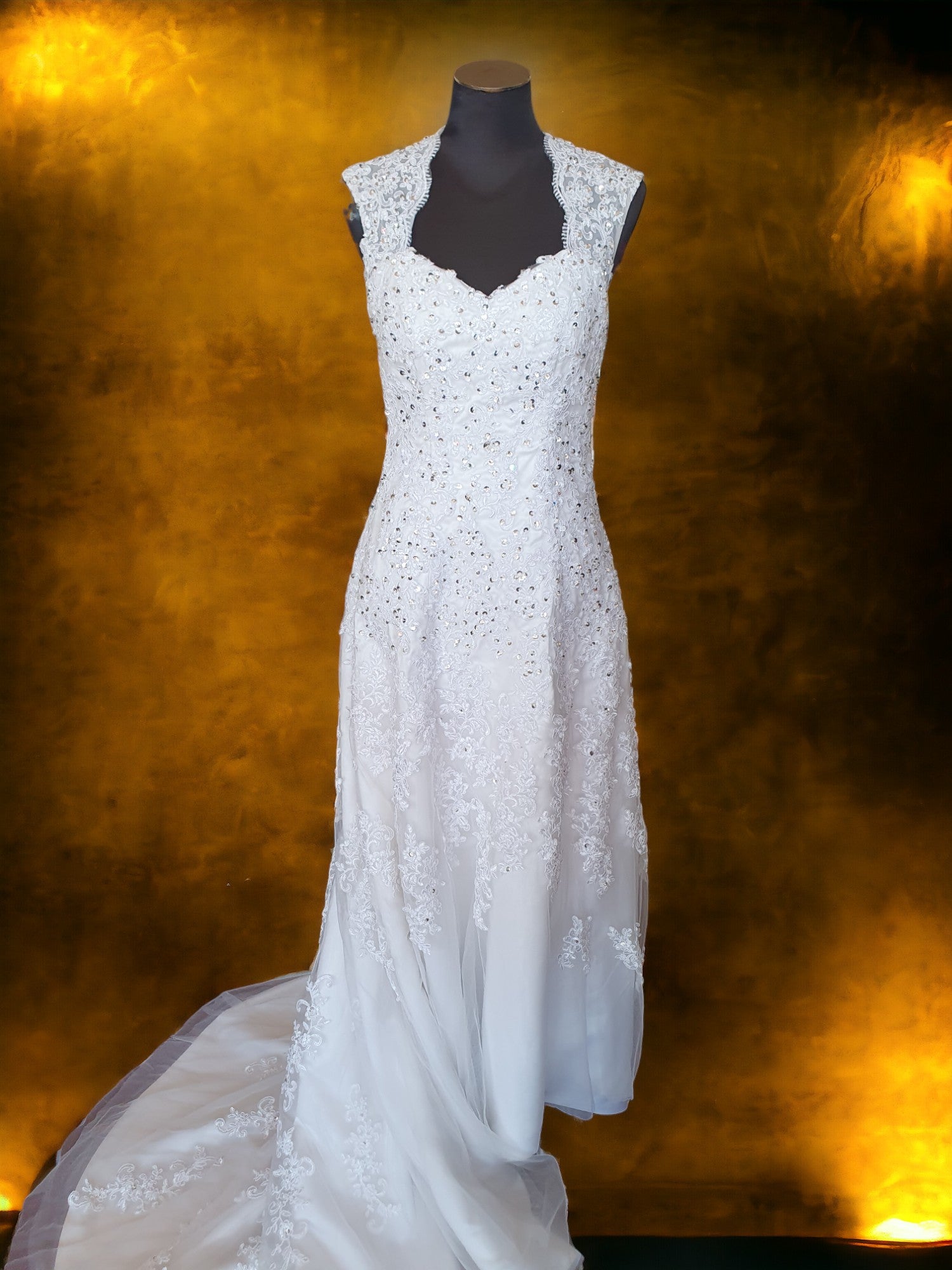 Elegant Fit & Flare Gown