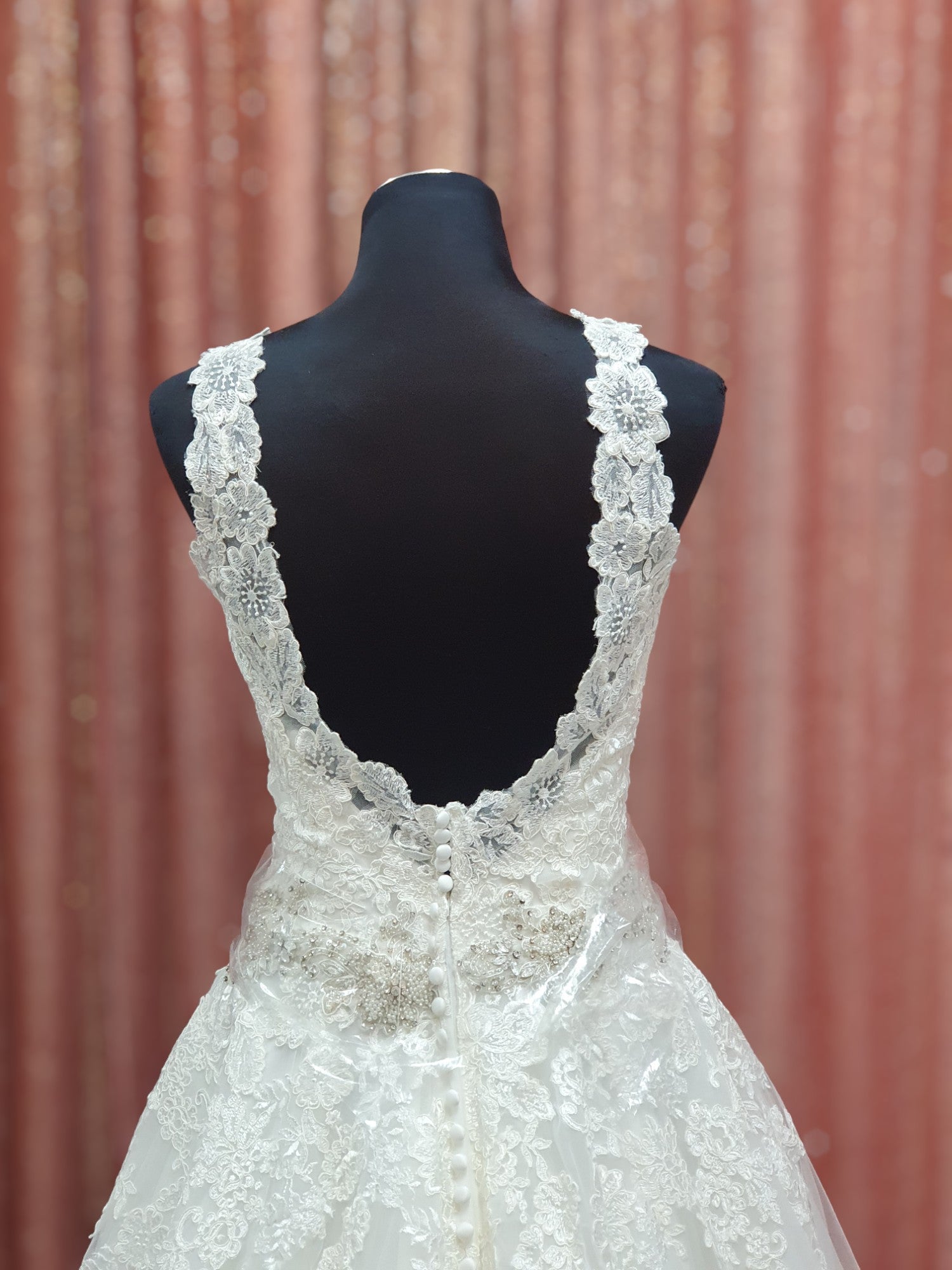 Diane Legrand Size 10 Gown