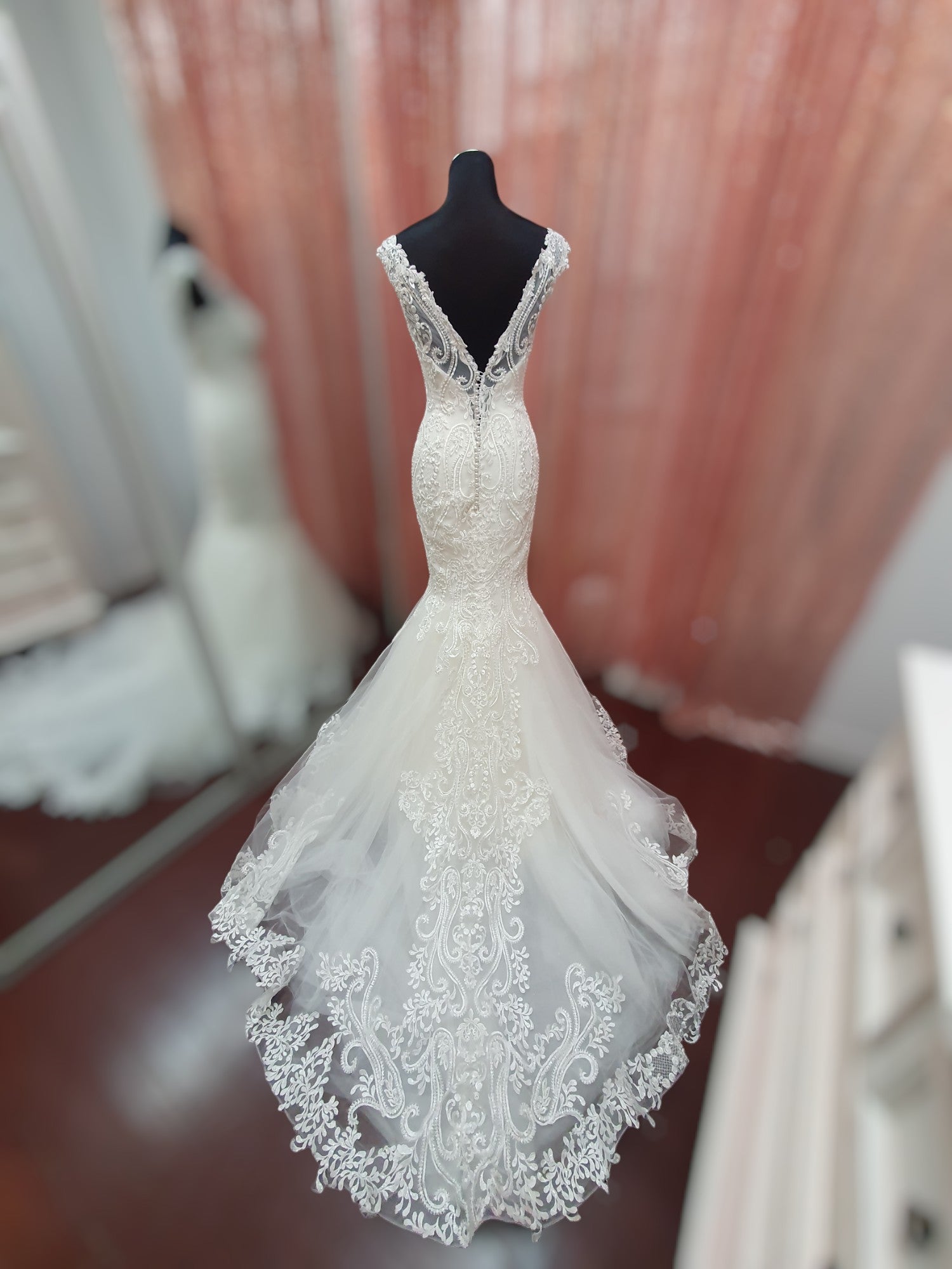Aysira Fit & Flare Gown