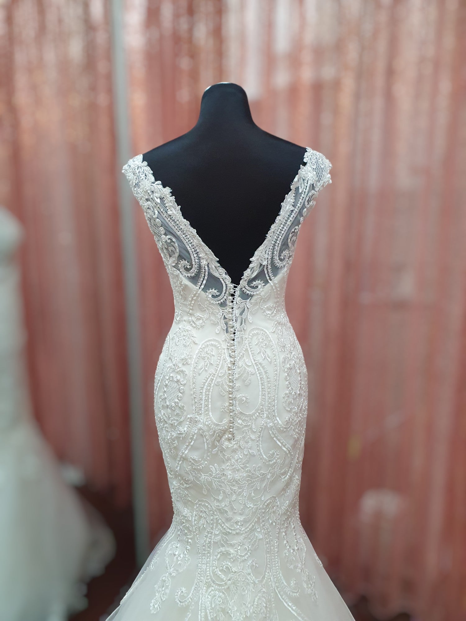 Aysira Fit & Flare Gown