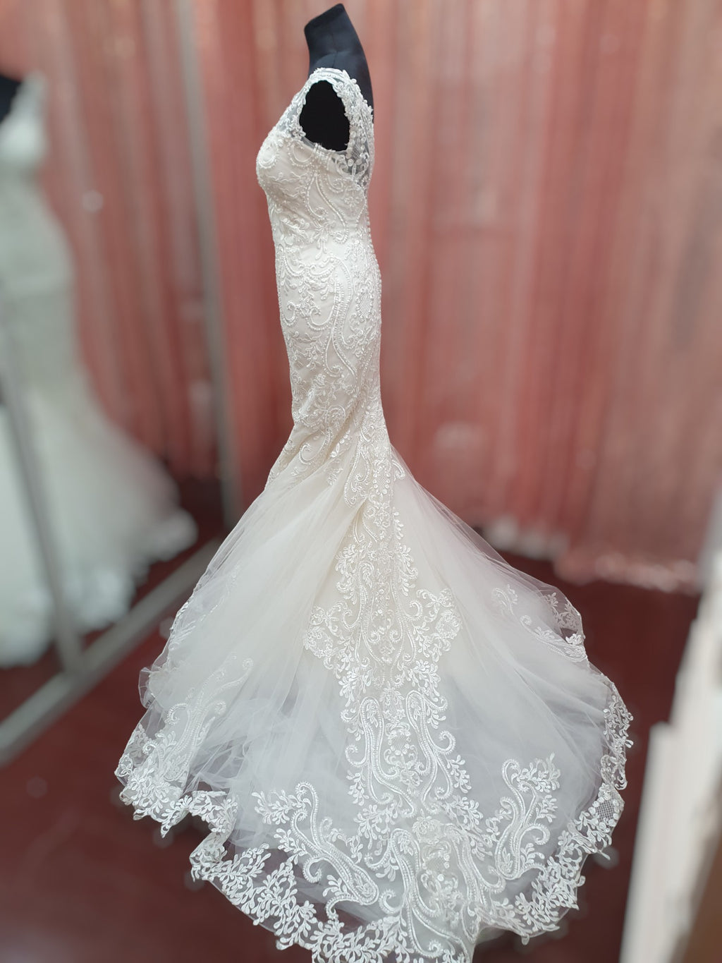 Aysira Fit & Flare Gown