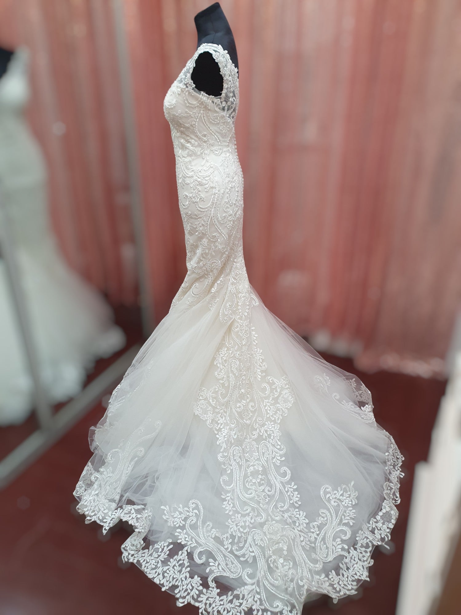 Aysira Fit & Flare Gown
