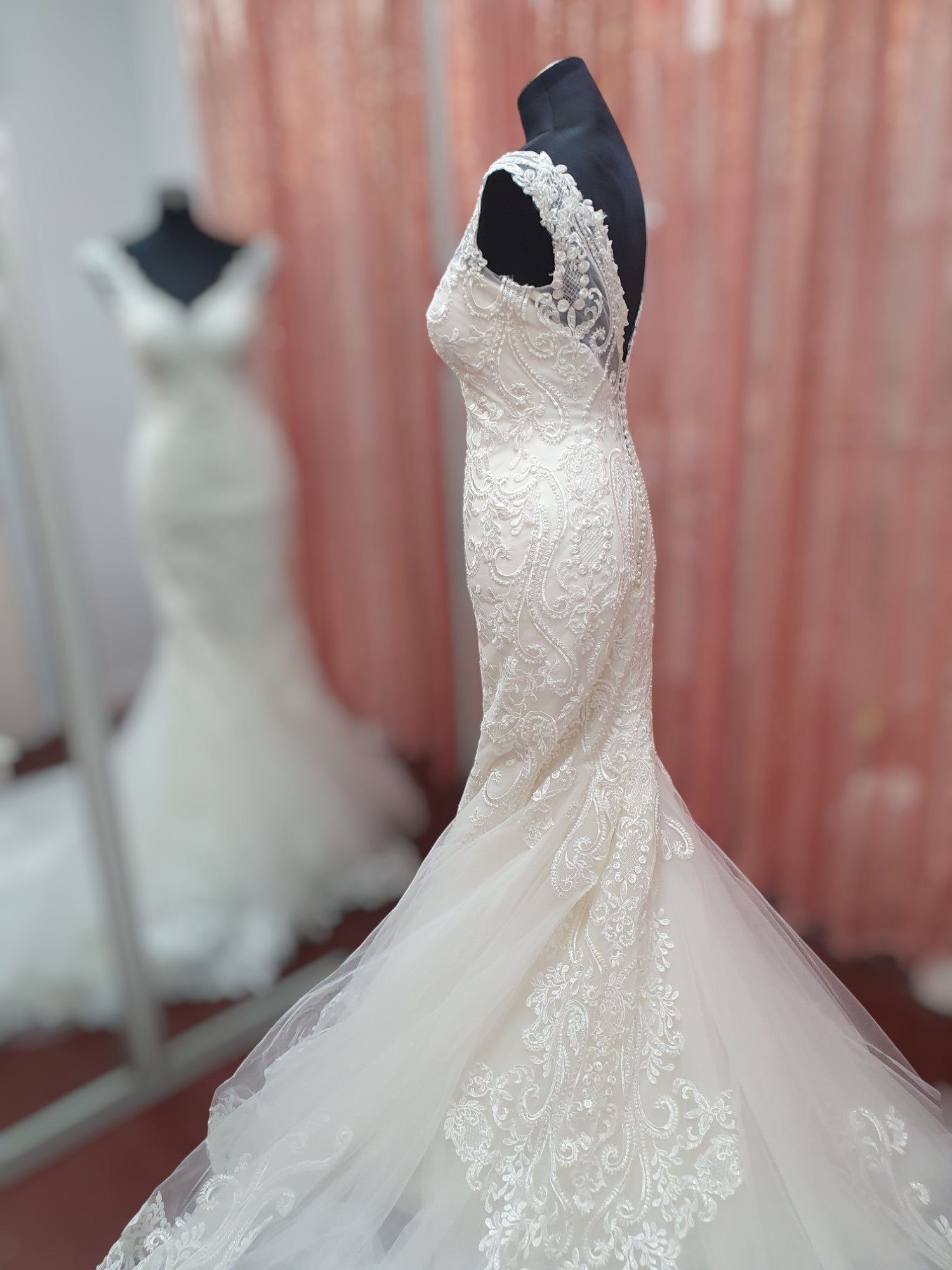 Aysira Fit & Flare Gown