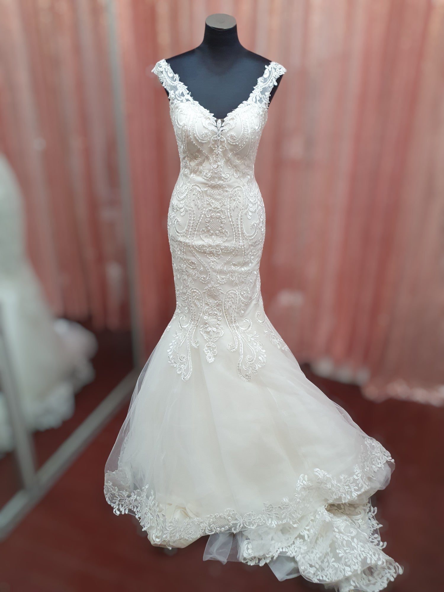 Aysira Fit & Flare Gown