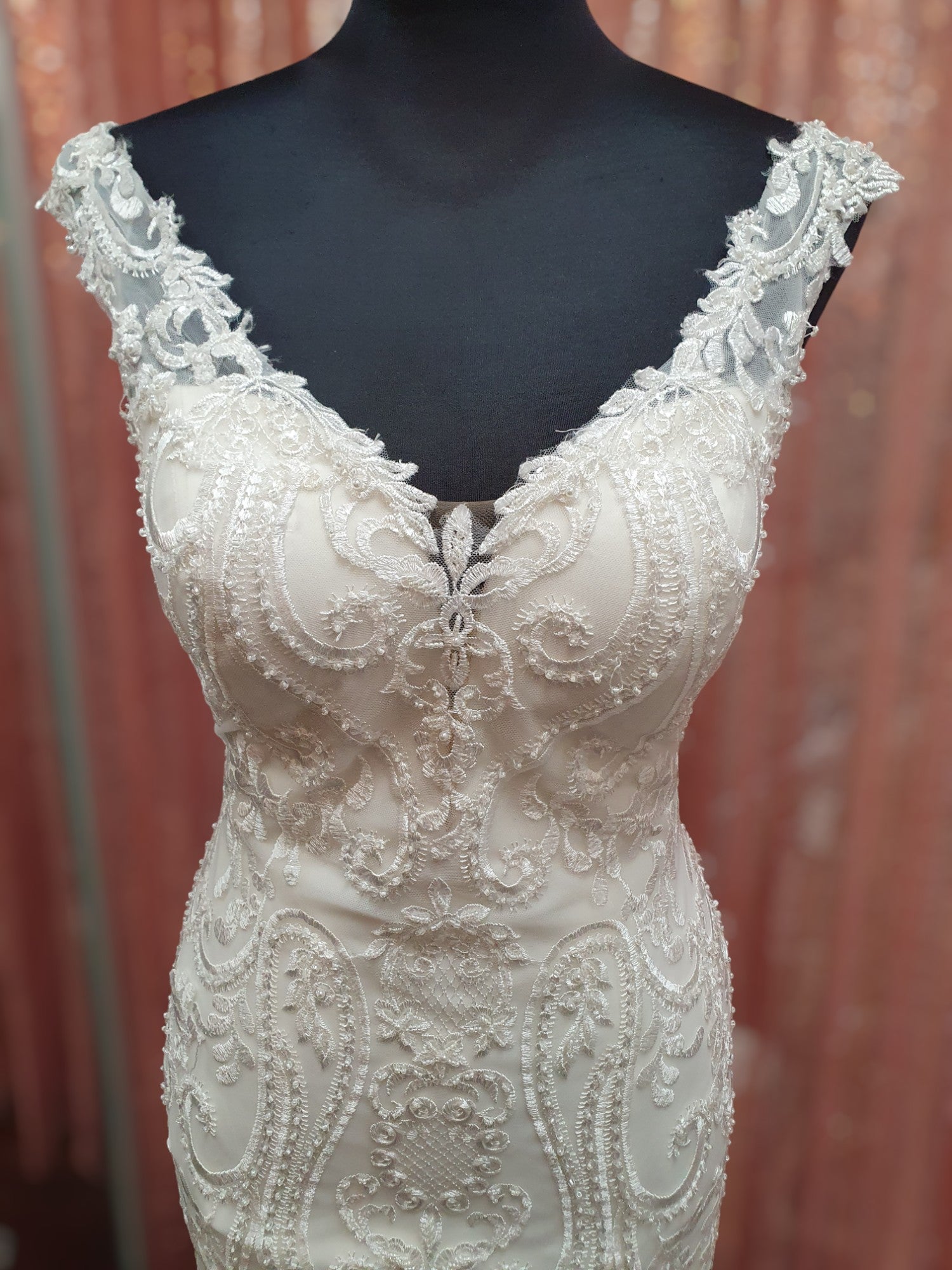 Aysira Fit & Flare Gown