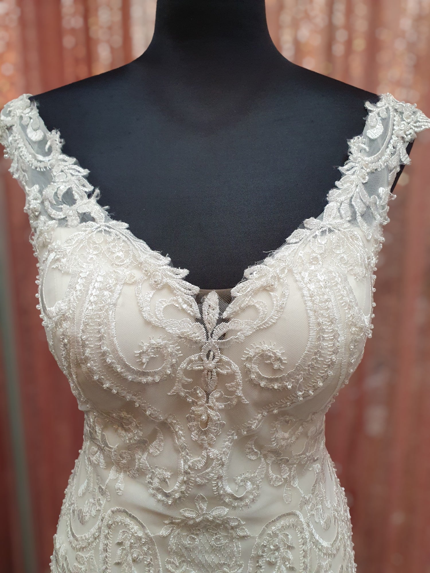 Aysira Fit & Flare Gown