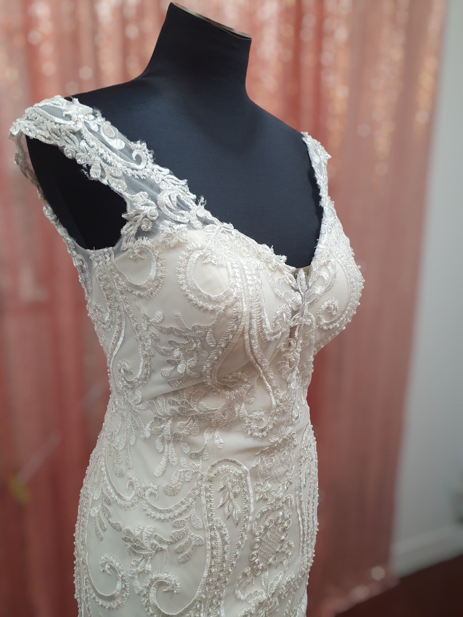 Aysira Fit & Flare Gown