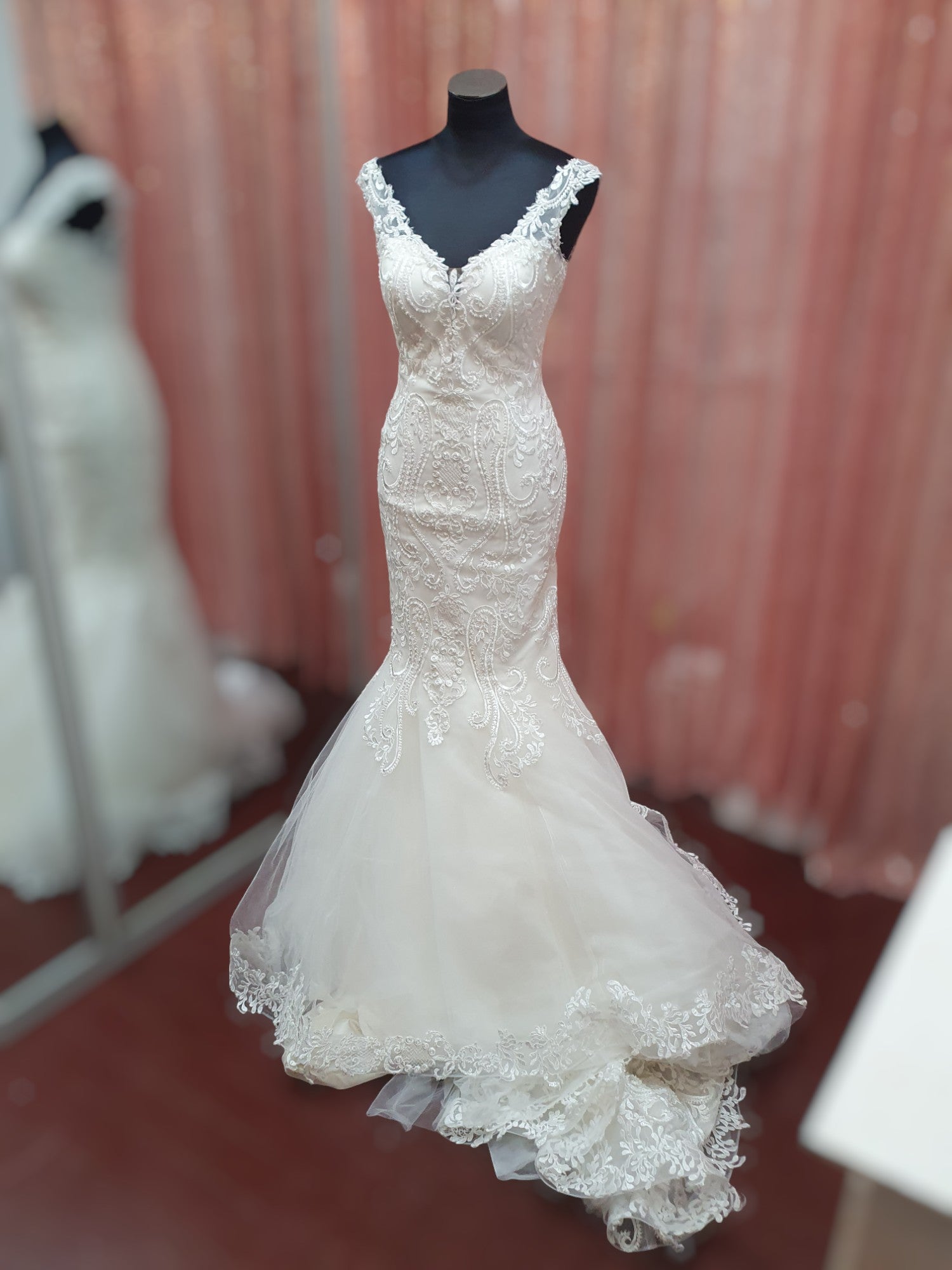 Aysira Fit & Flare Gown