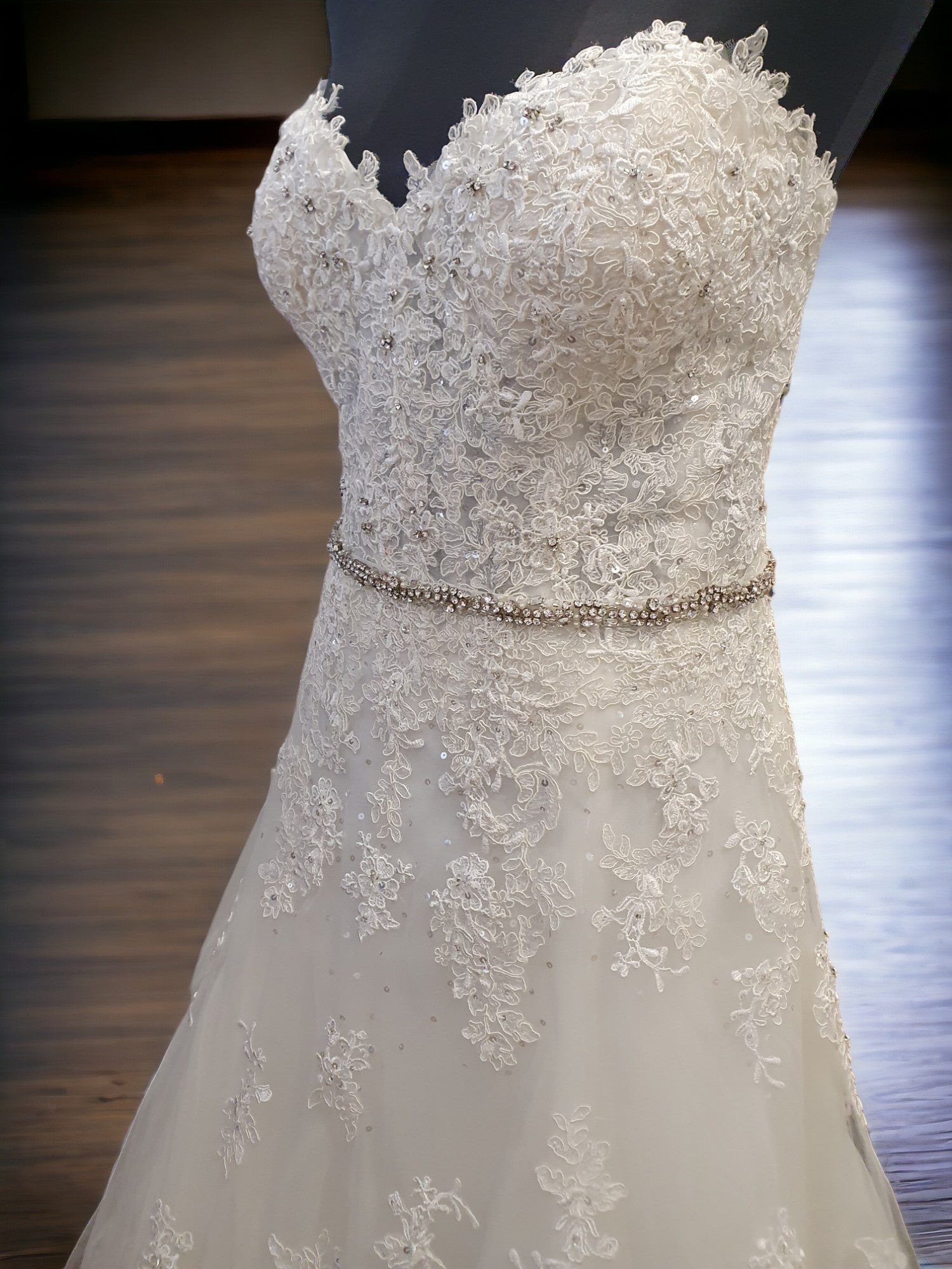 Sophia Tolli Size 18 Strapless Stunner