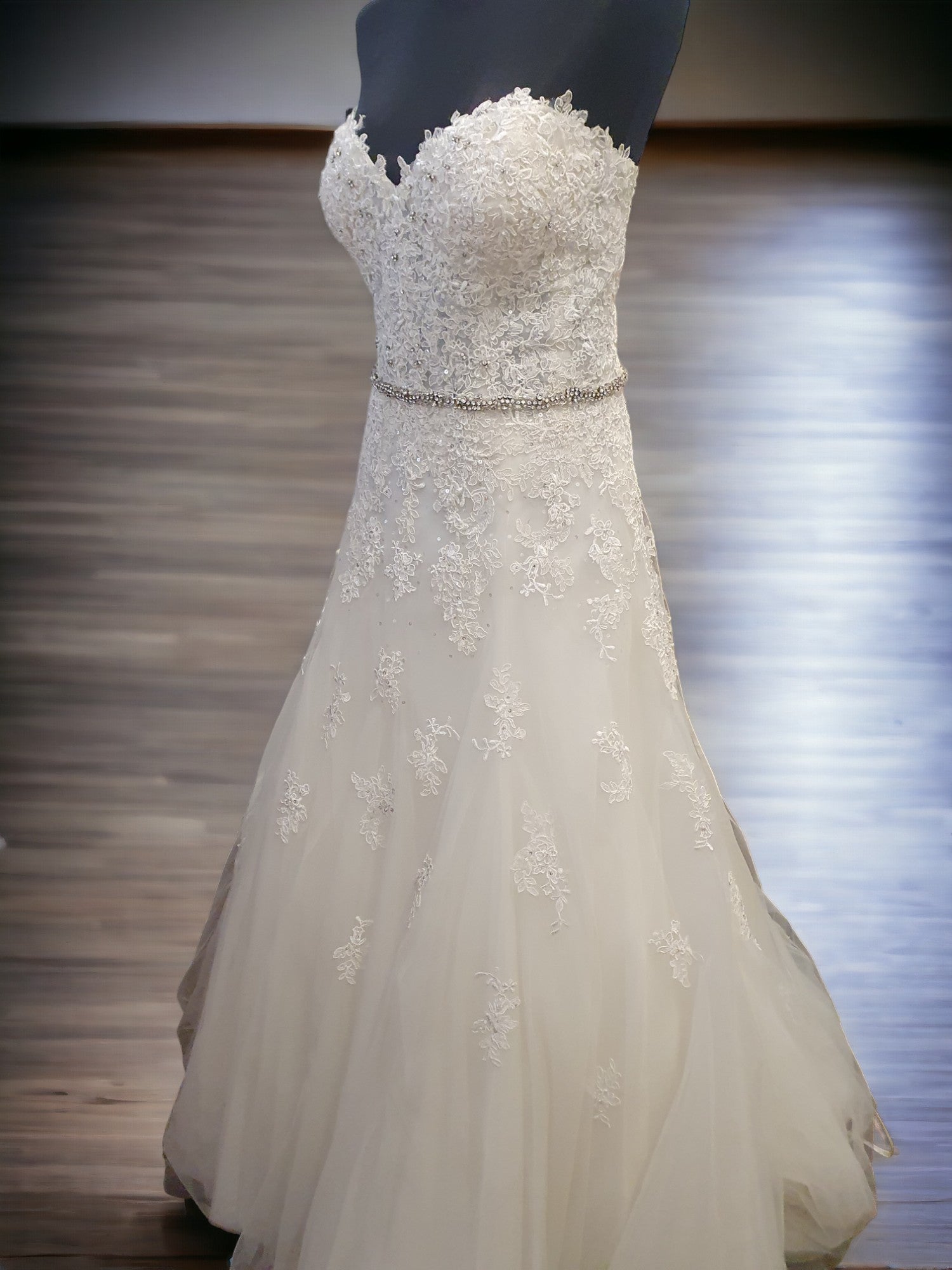 Sophia Tolli Size 18 Strapless Stunner