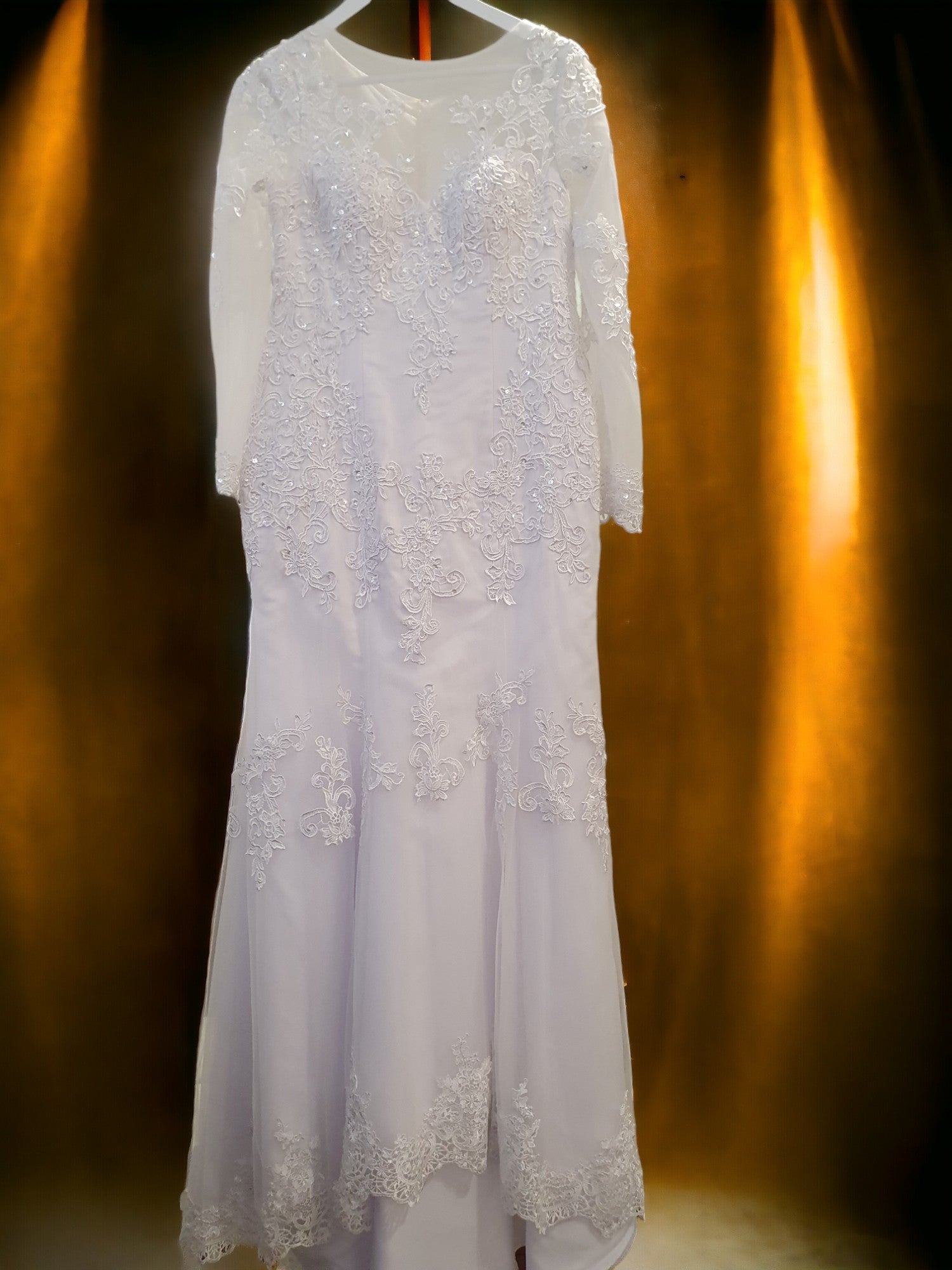 Fit and Flare Lace Gown with Sleeves