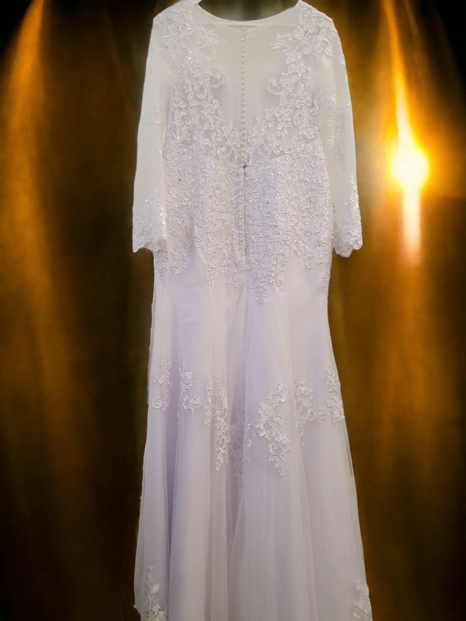 Fit and Flare Lace Gown with Sleeves