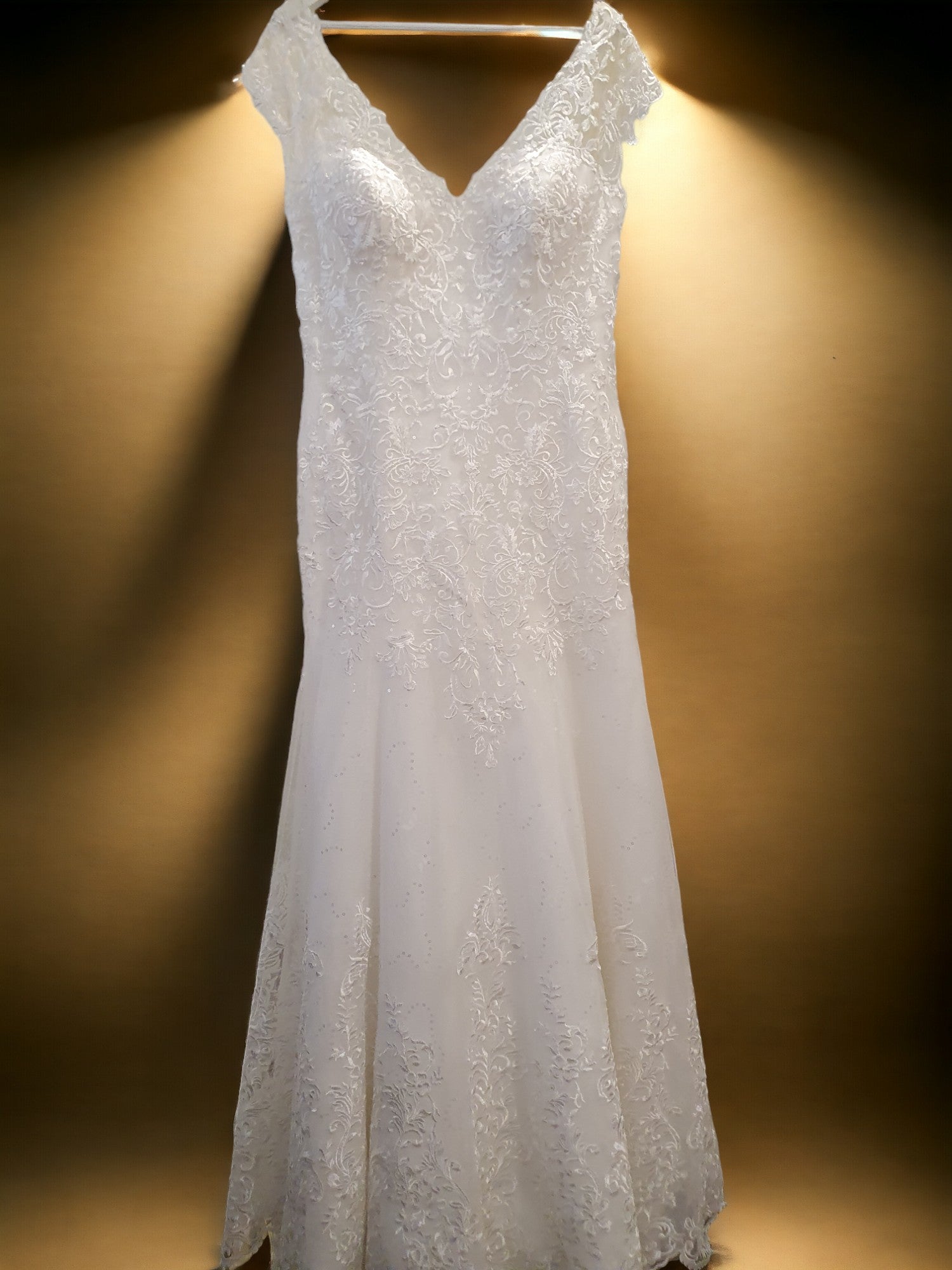 Brand New A-Line Gown with Long Train