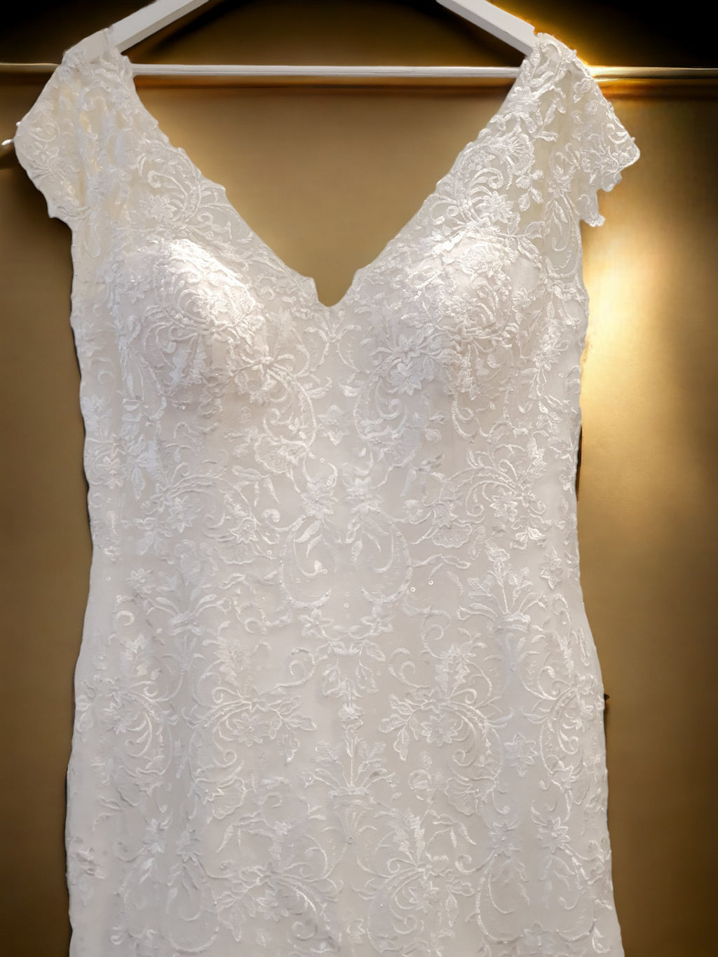 Brand New A-Line Gown with Long Train